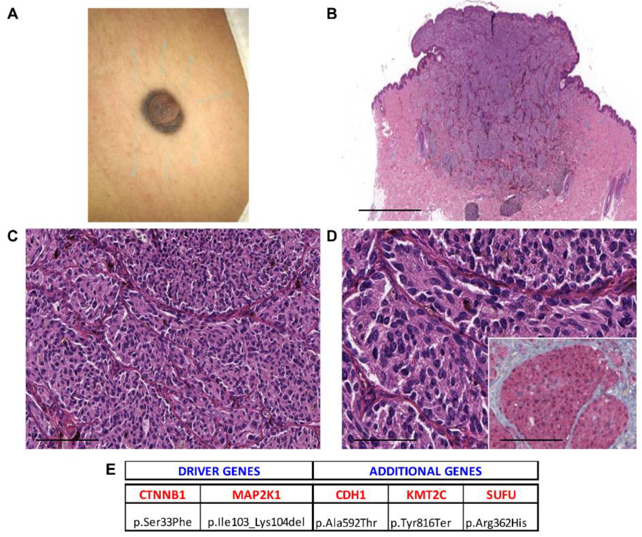 Cancers 13 03066 g002