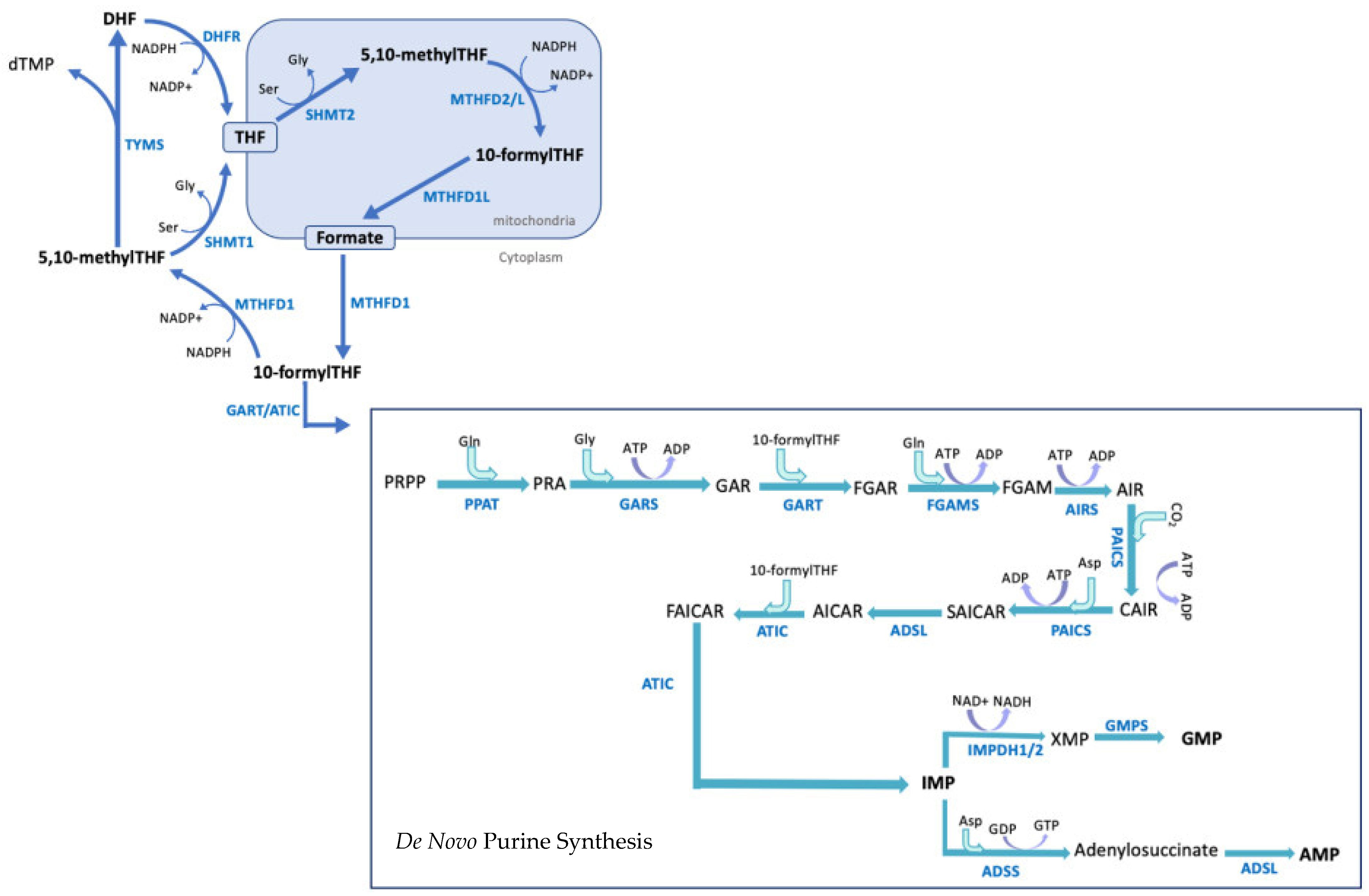 Cancers 13 03067 g001 Cancers 13 03067 g001