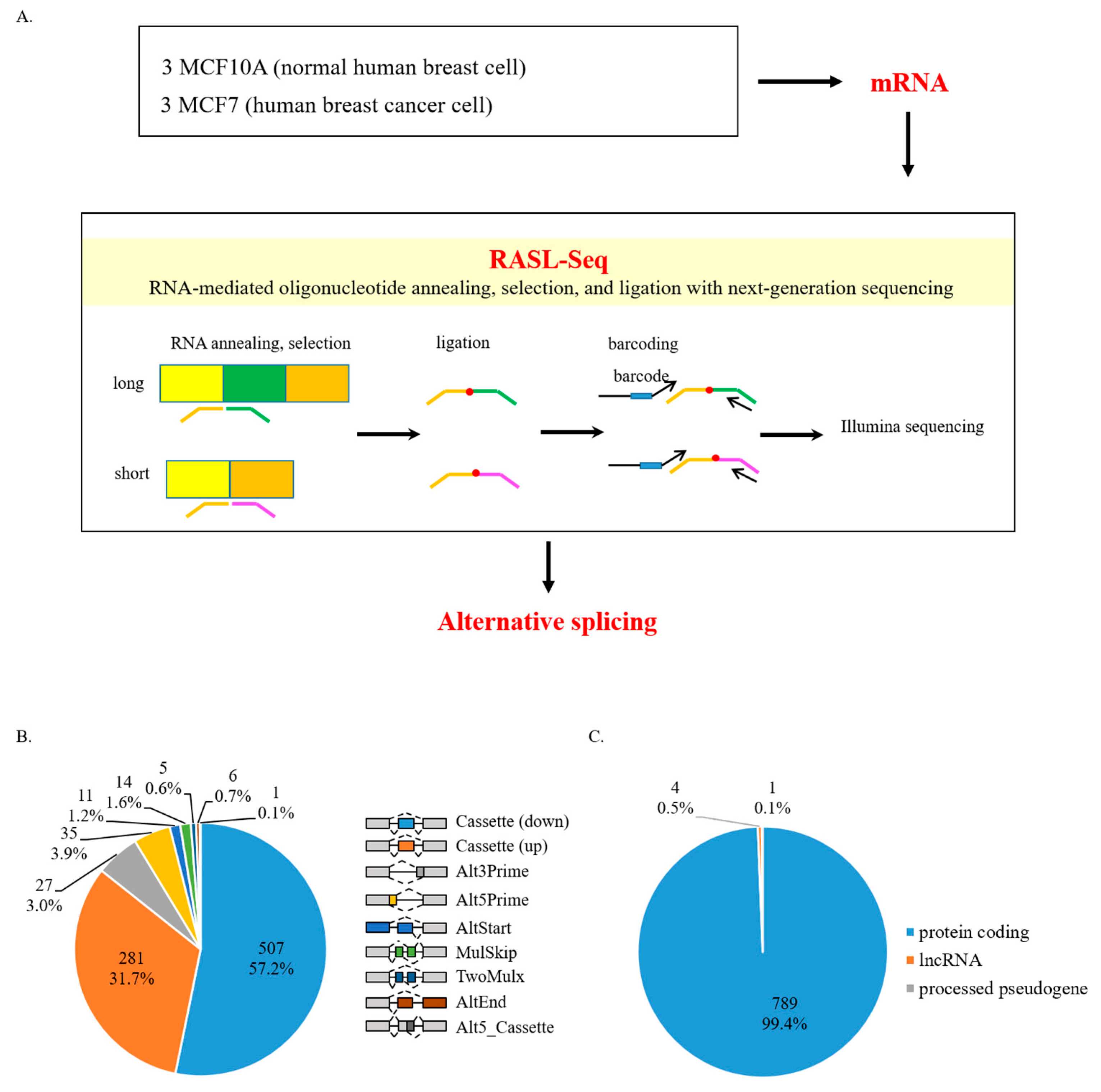 Cancers 13 03071 g001