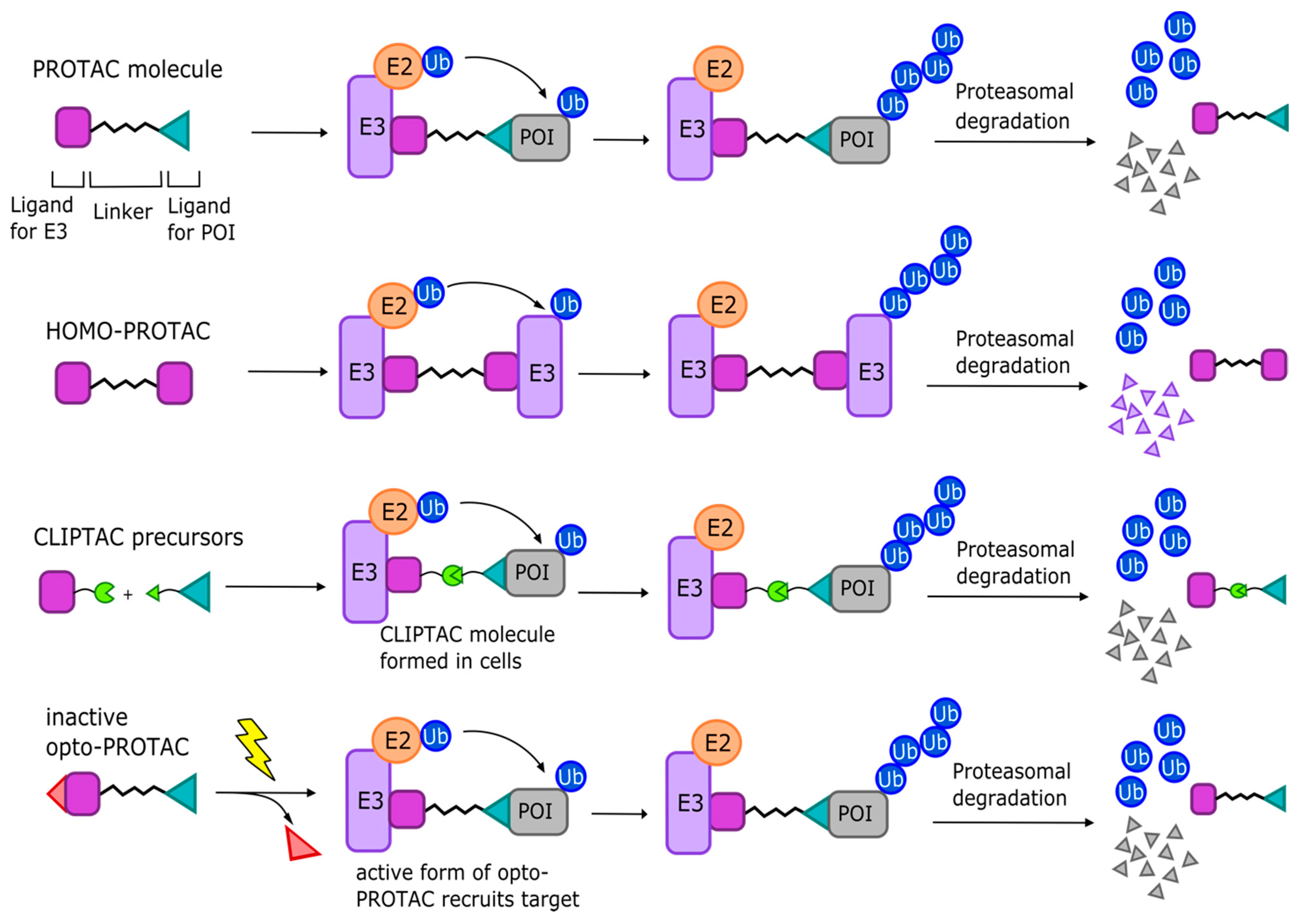 Cancers 13 03079 g003