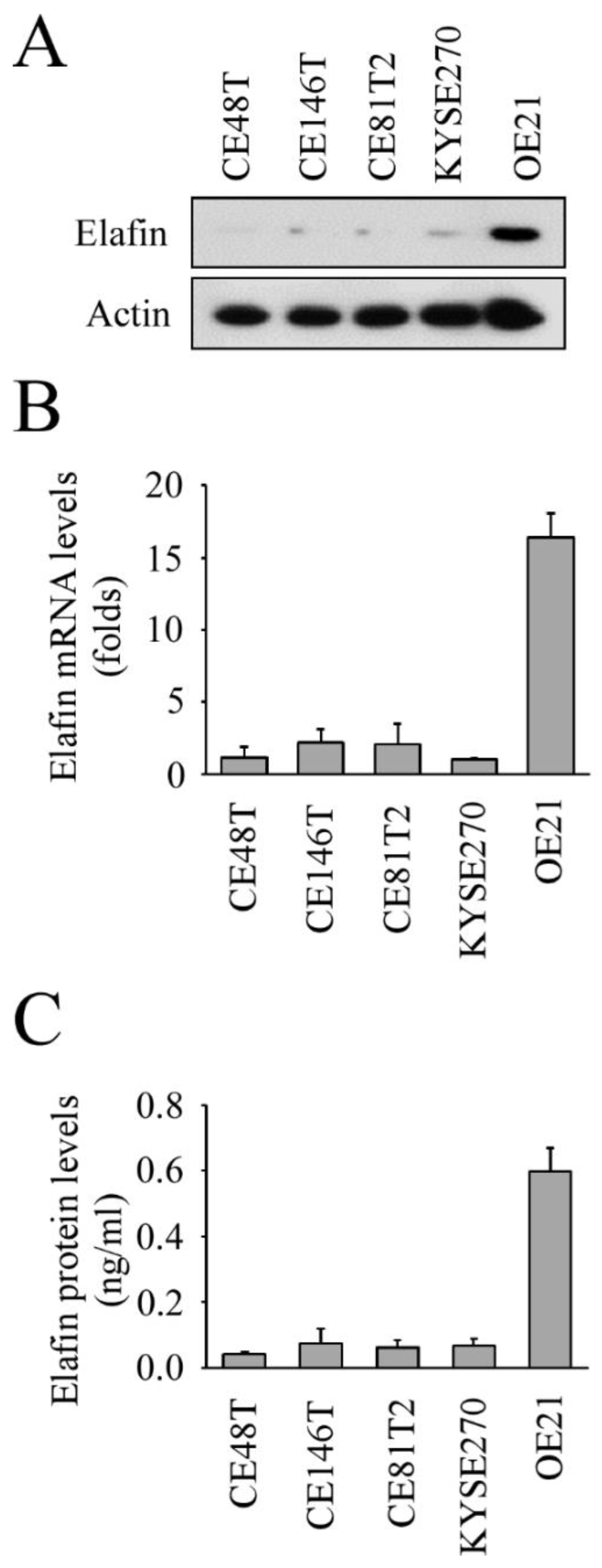 Cancers 13 03082 g002