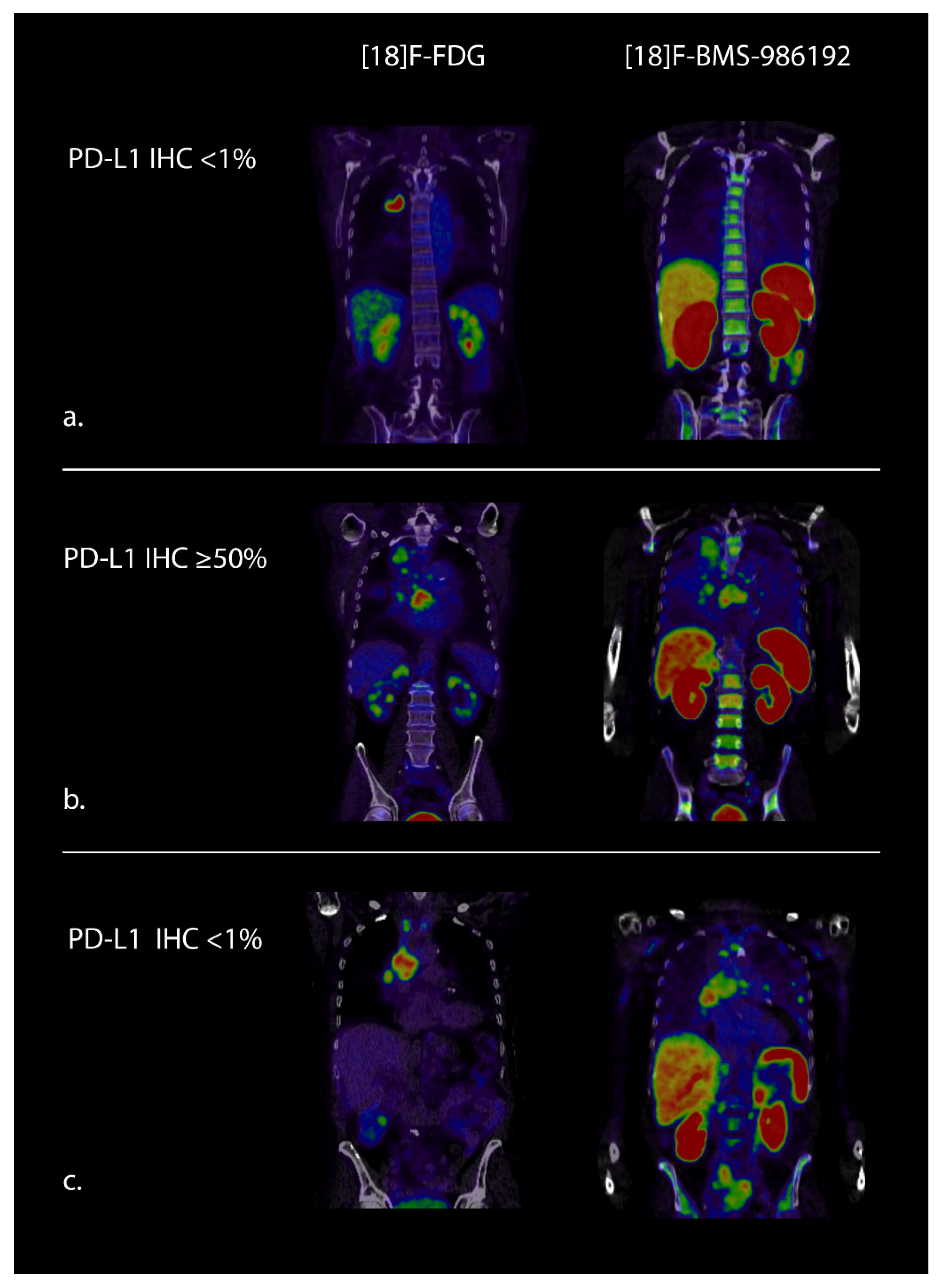 Cancers 13 03083 g001 550