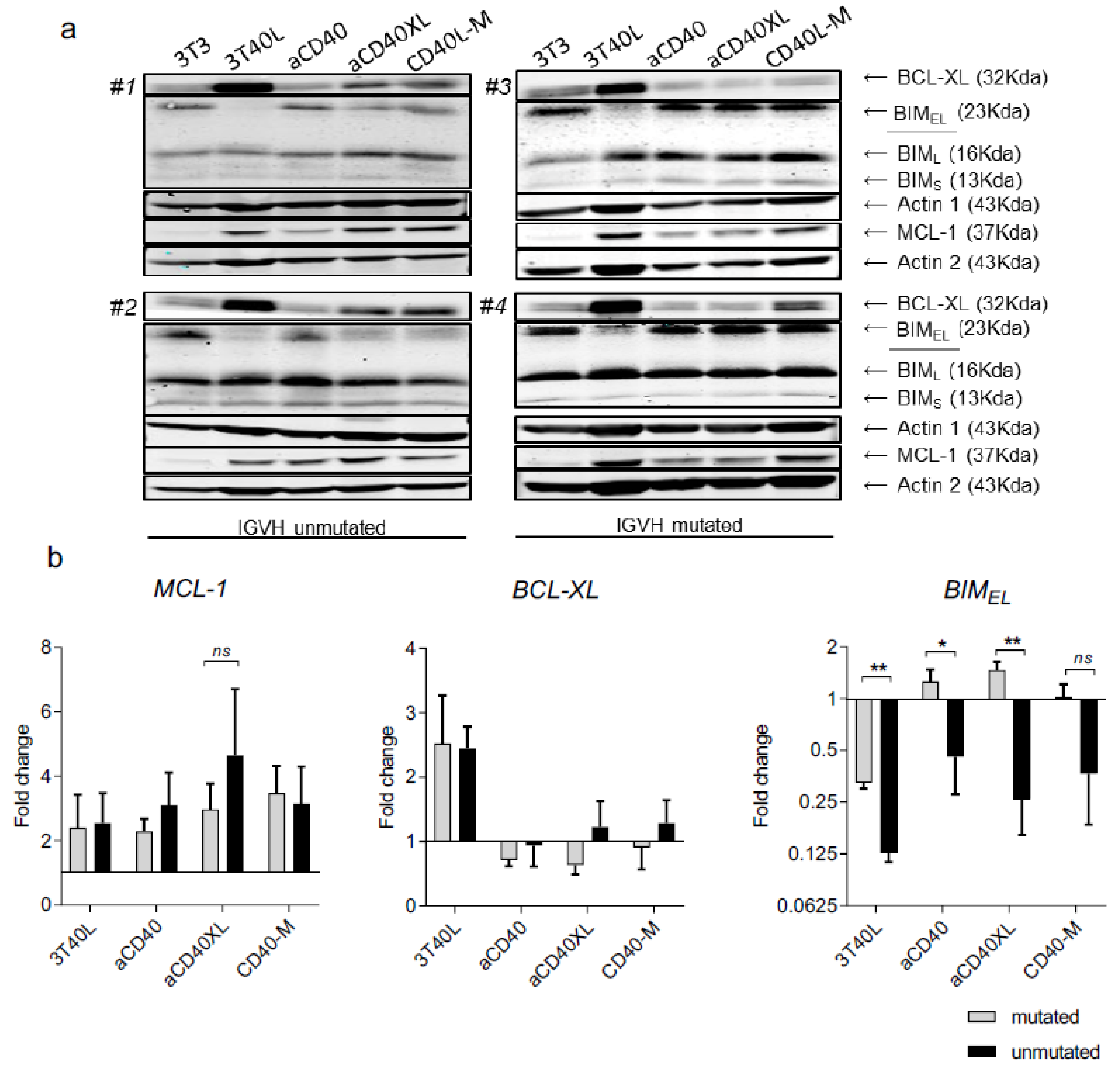 Cancers 13 03084 g003 Cancers 13 03084 g003