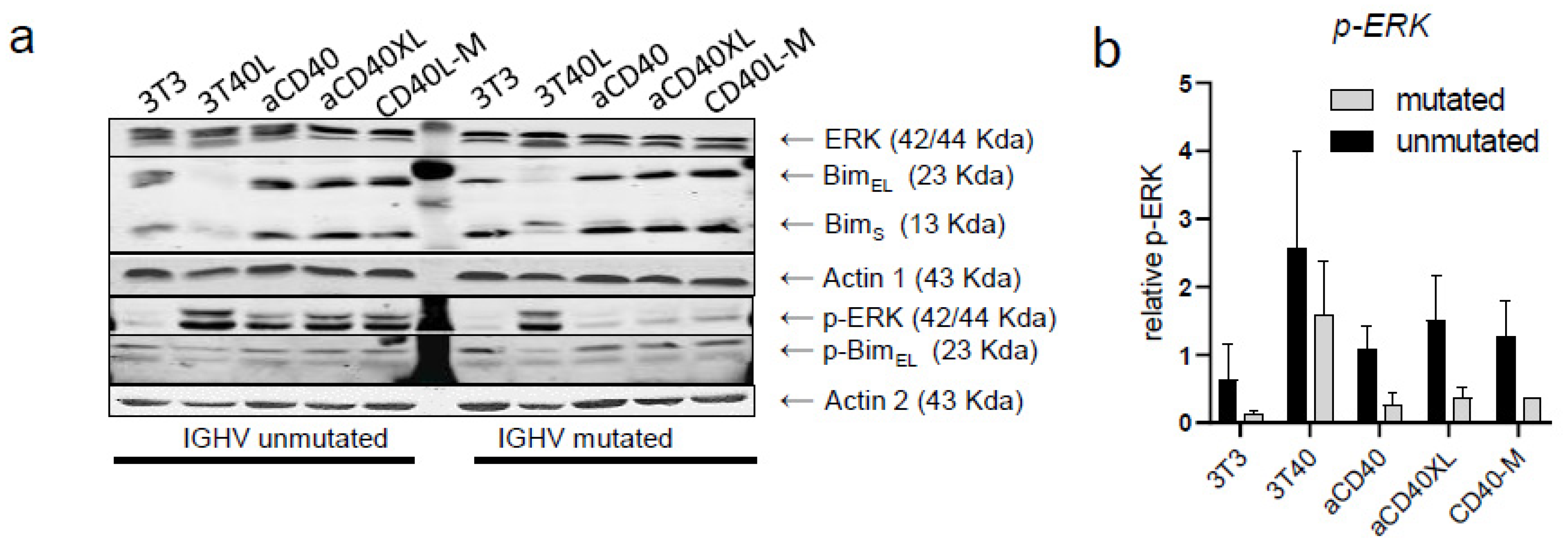 Cancers 13 03084 g004 Cancers 13 03084 g004