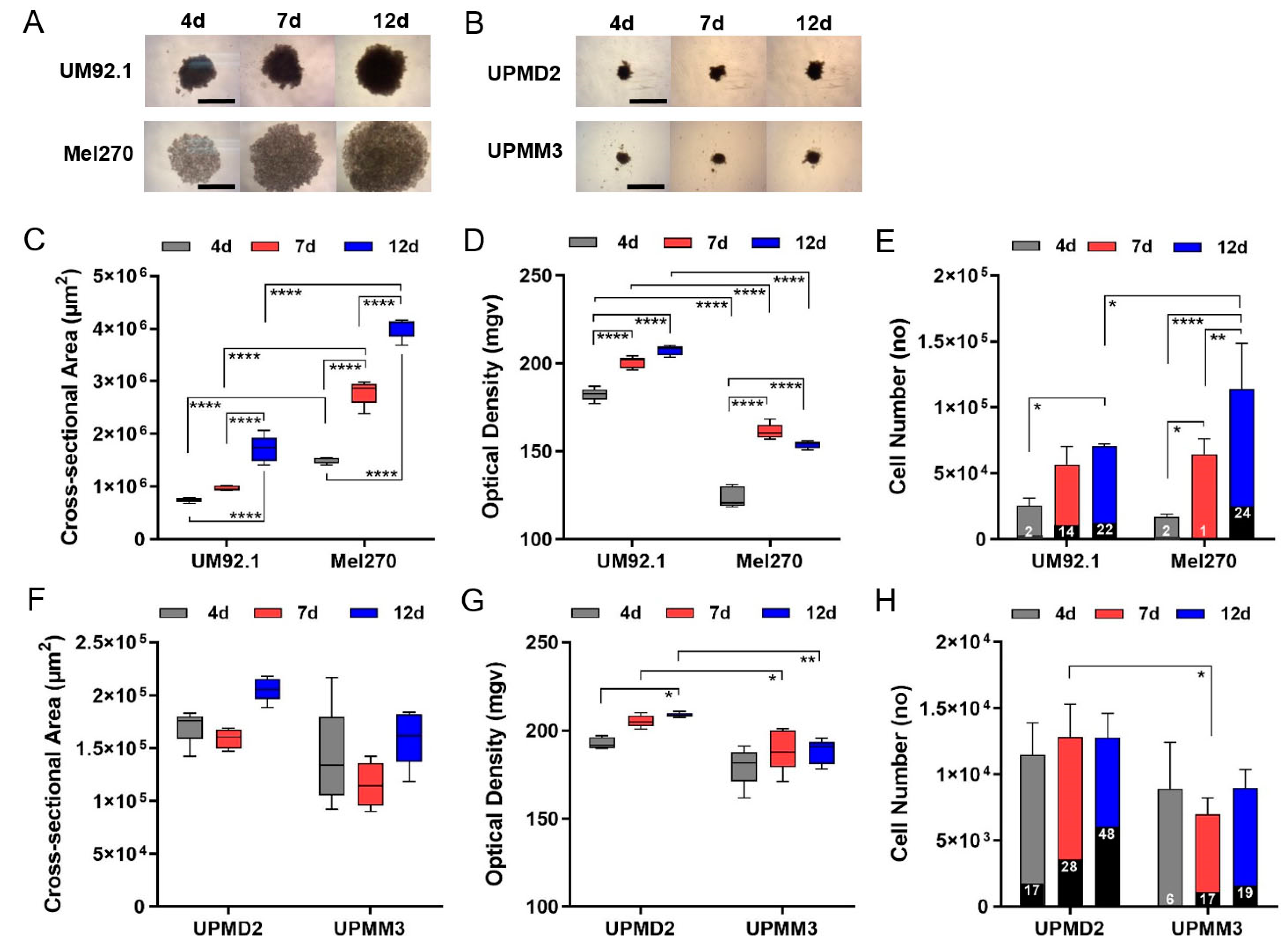 Cancers 13 03086 g001 Cancers 13 03086 g001