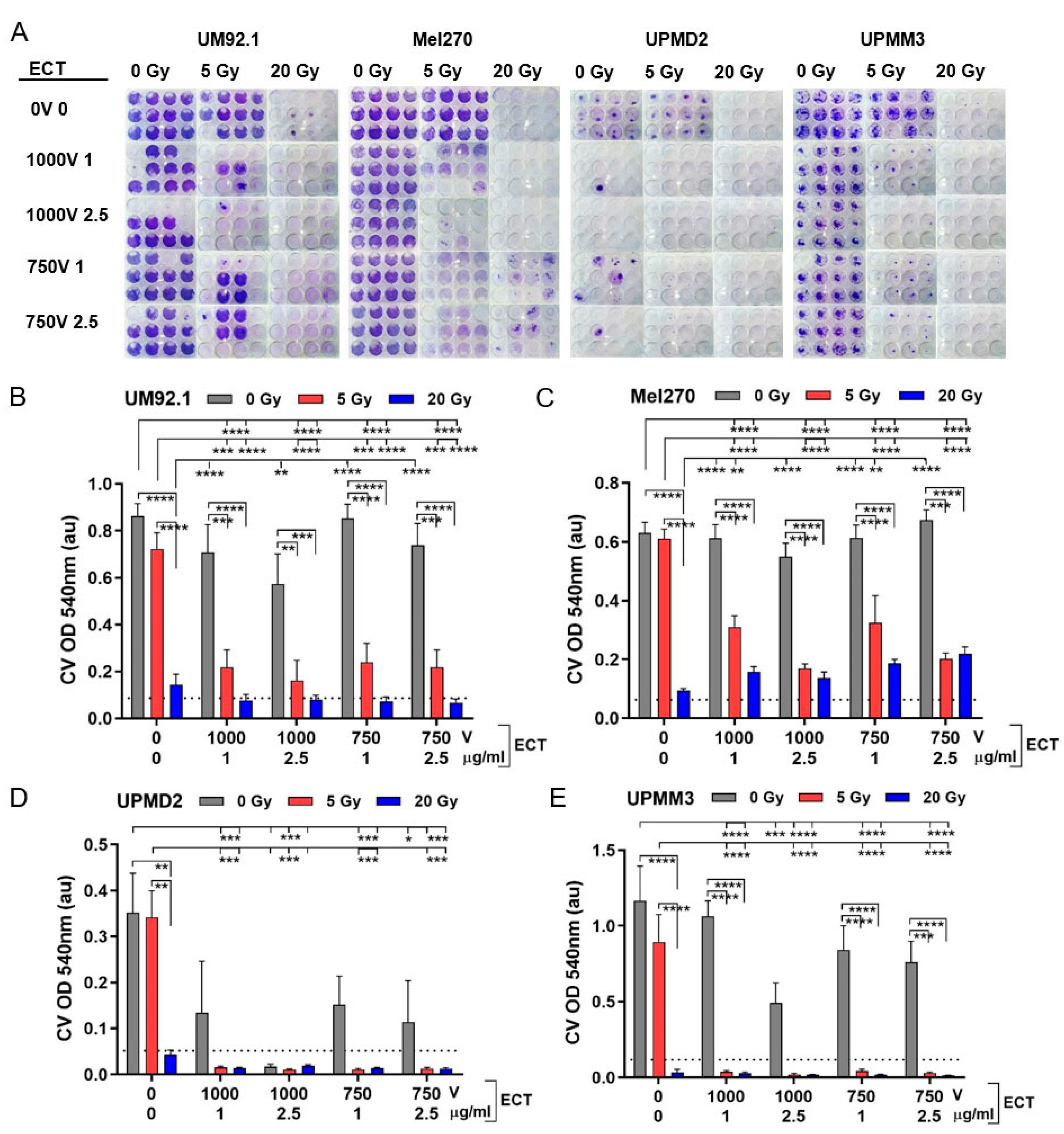 Cancers 13 03086 g005 Cancers 13 03086 g005