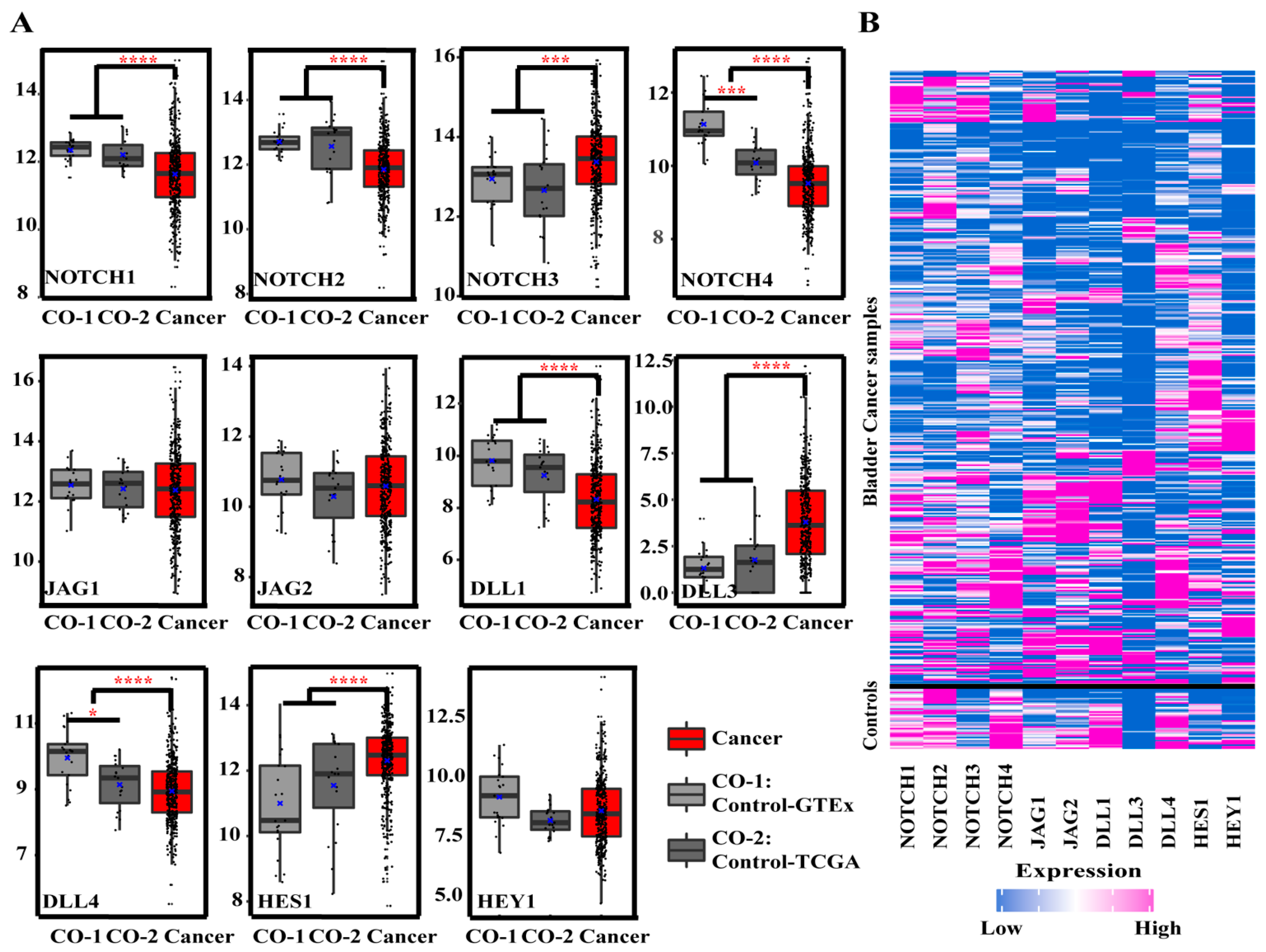 Cancers 13 03089 g002 Cancers 13 03089 g002