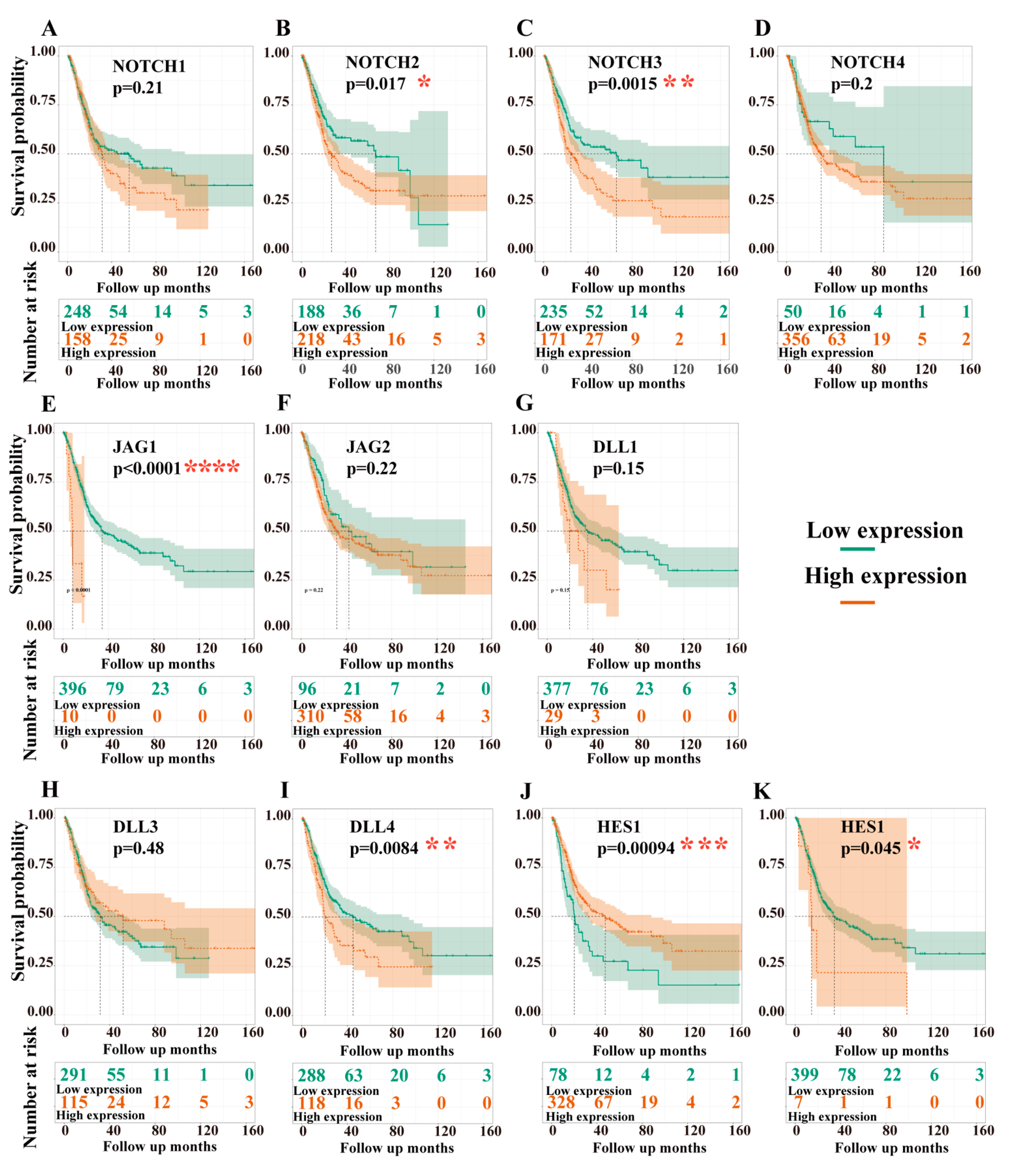 Cancers 13 03089 g006 Cancers 13 03089 g006