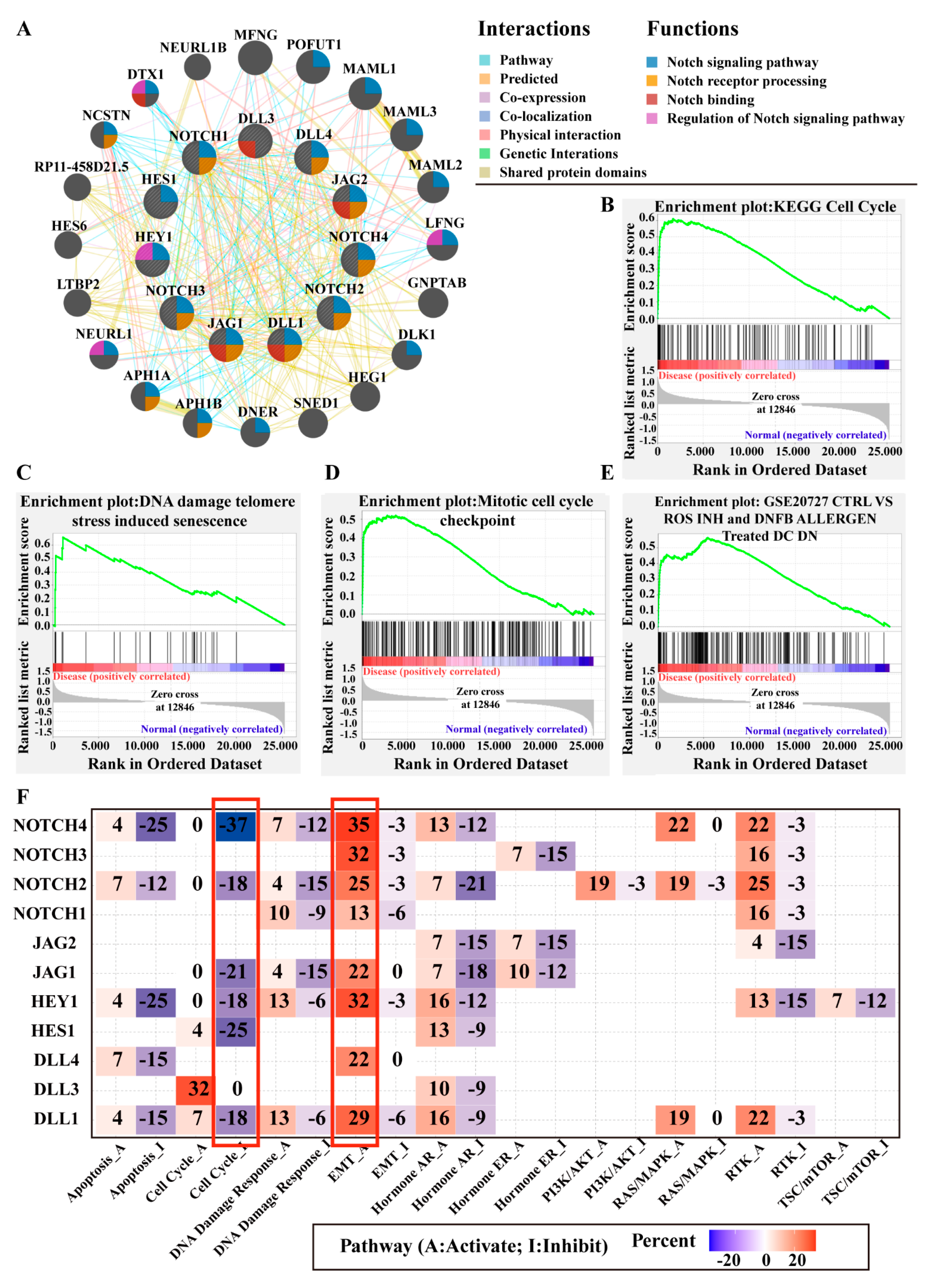 Cancers 13 03089 g008 Cancers 13 03089 g008