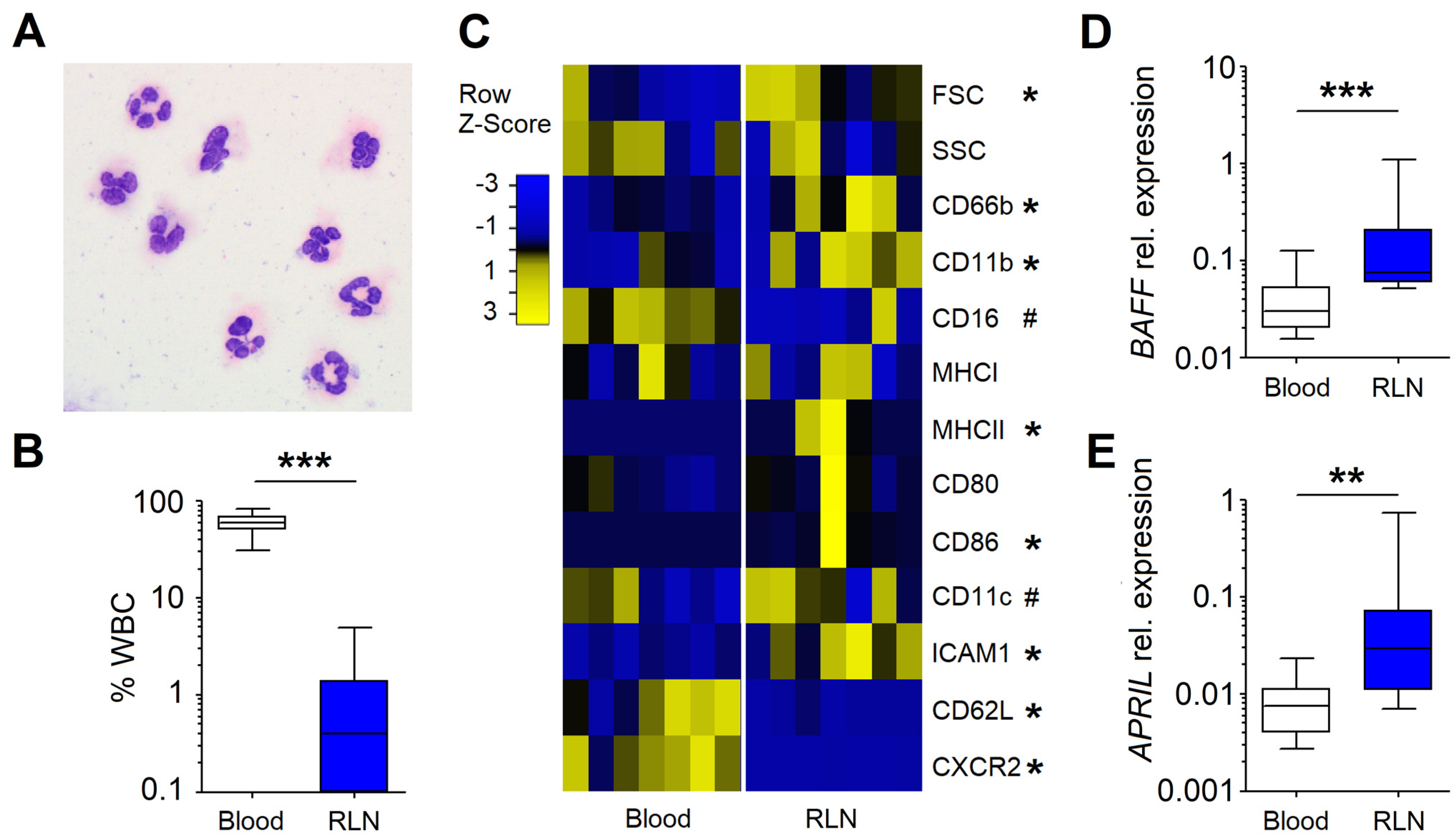 Cancers 13 03092 g001 550
