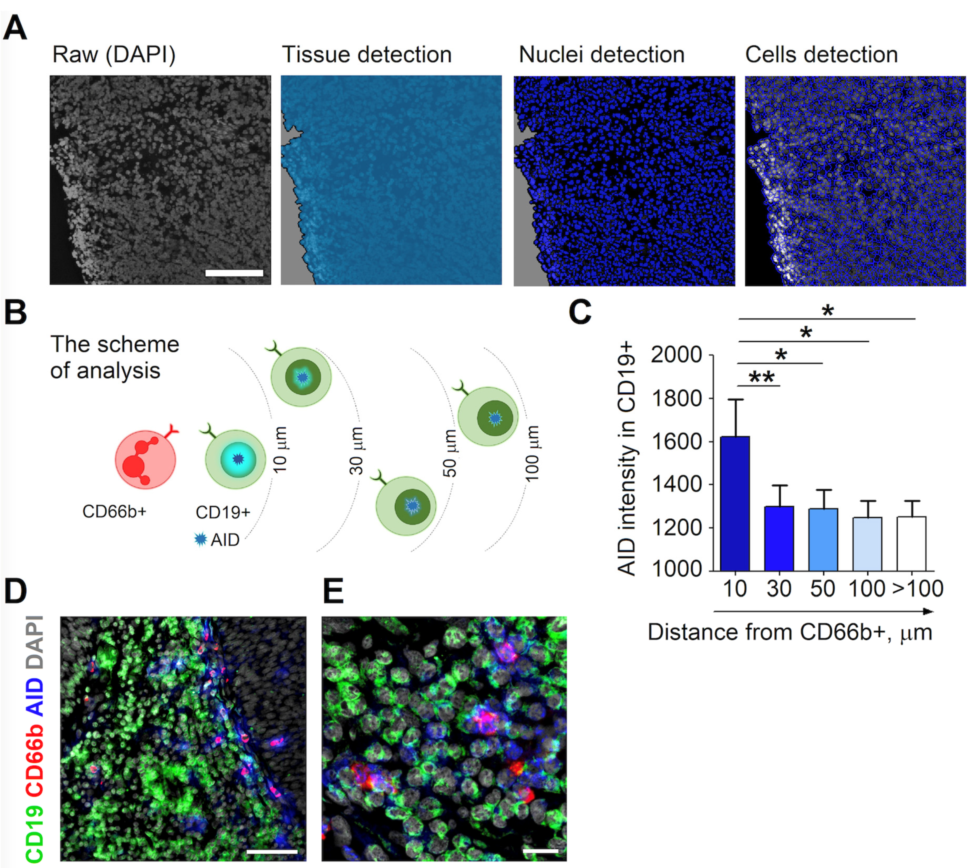 Cancers 13 03092 g003 550