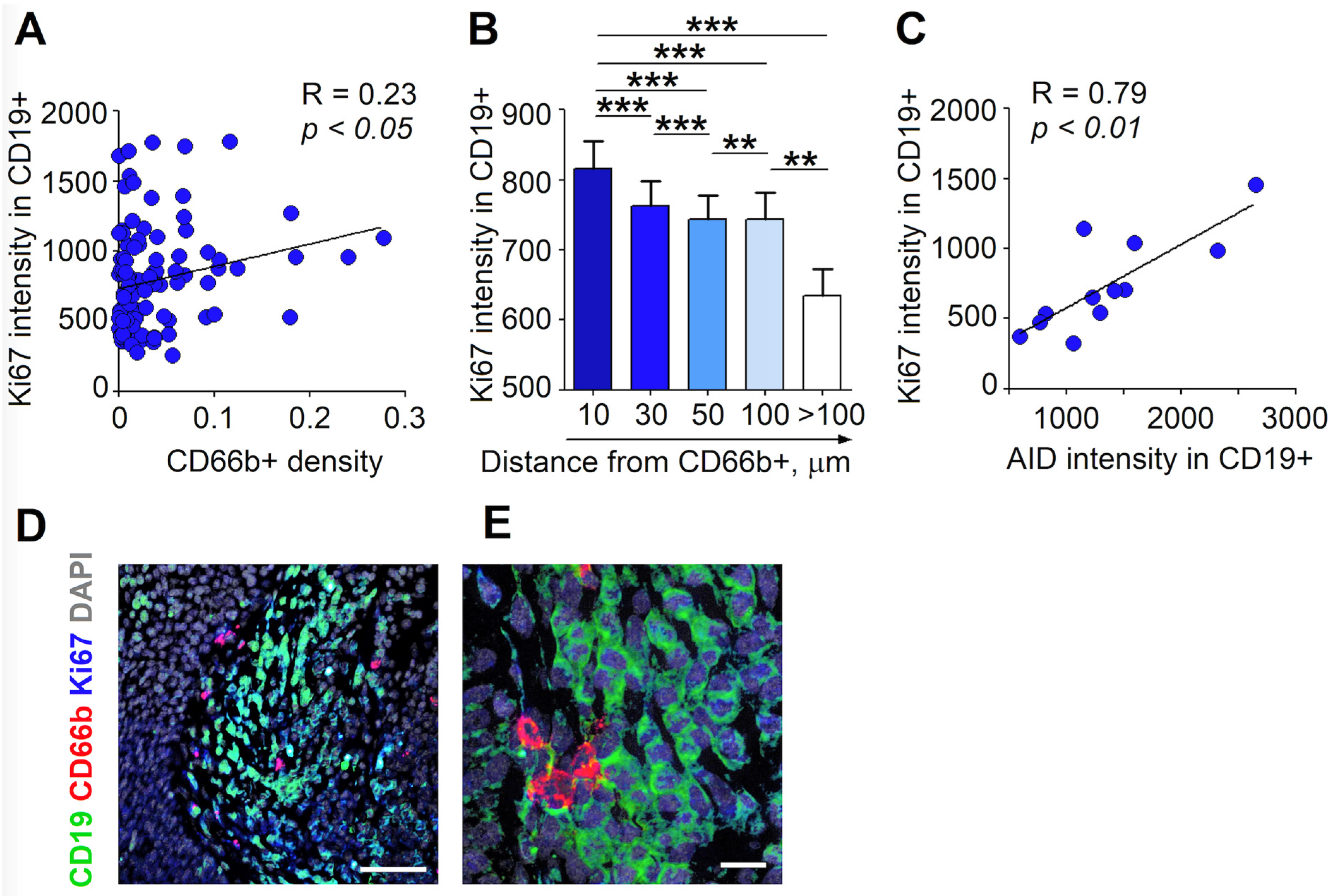 Cancers 13 03092 g004 550