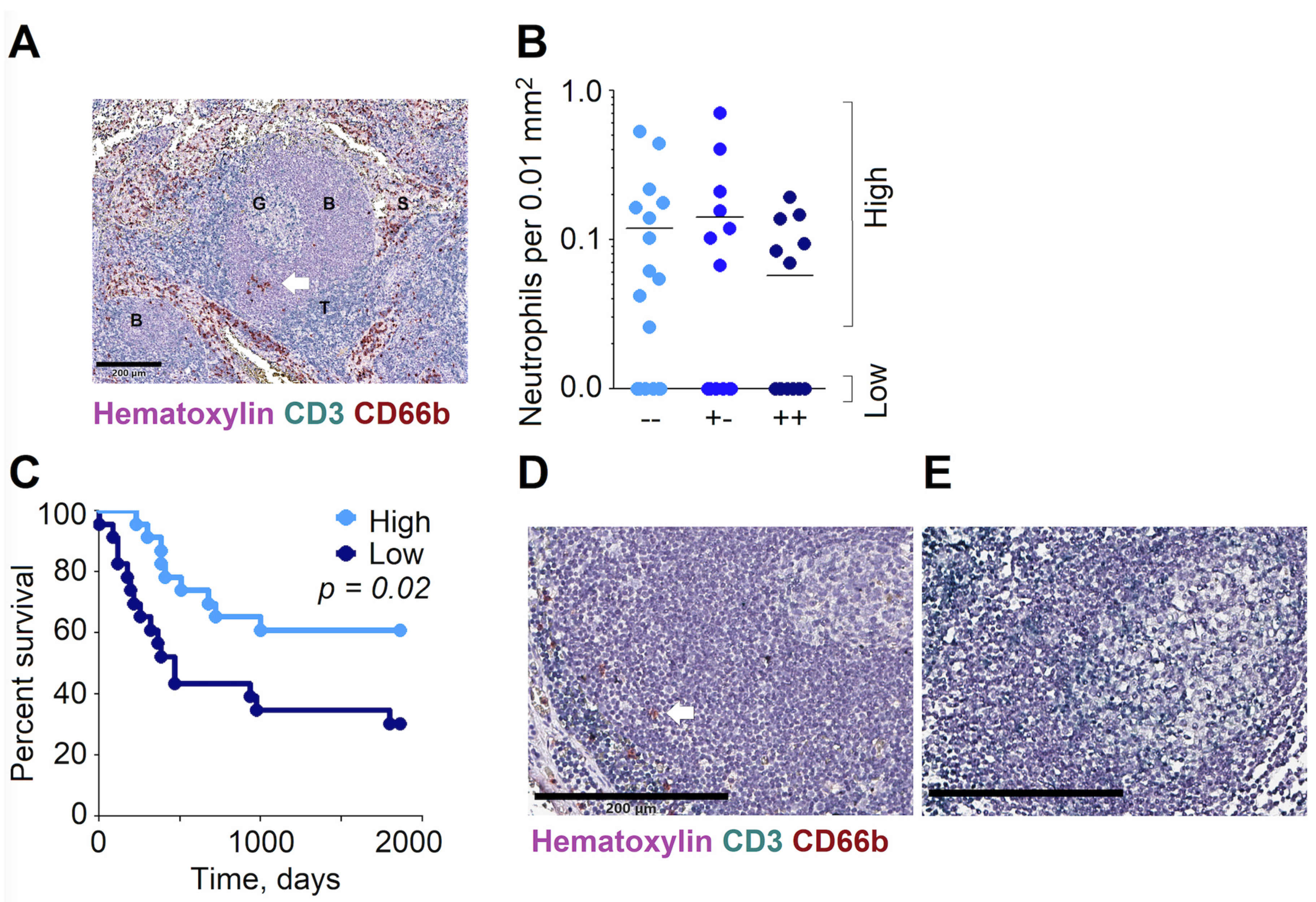 Cancers 13 03092 g005 550