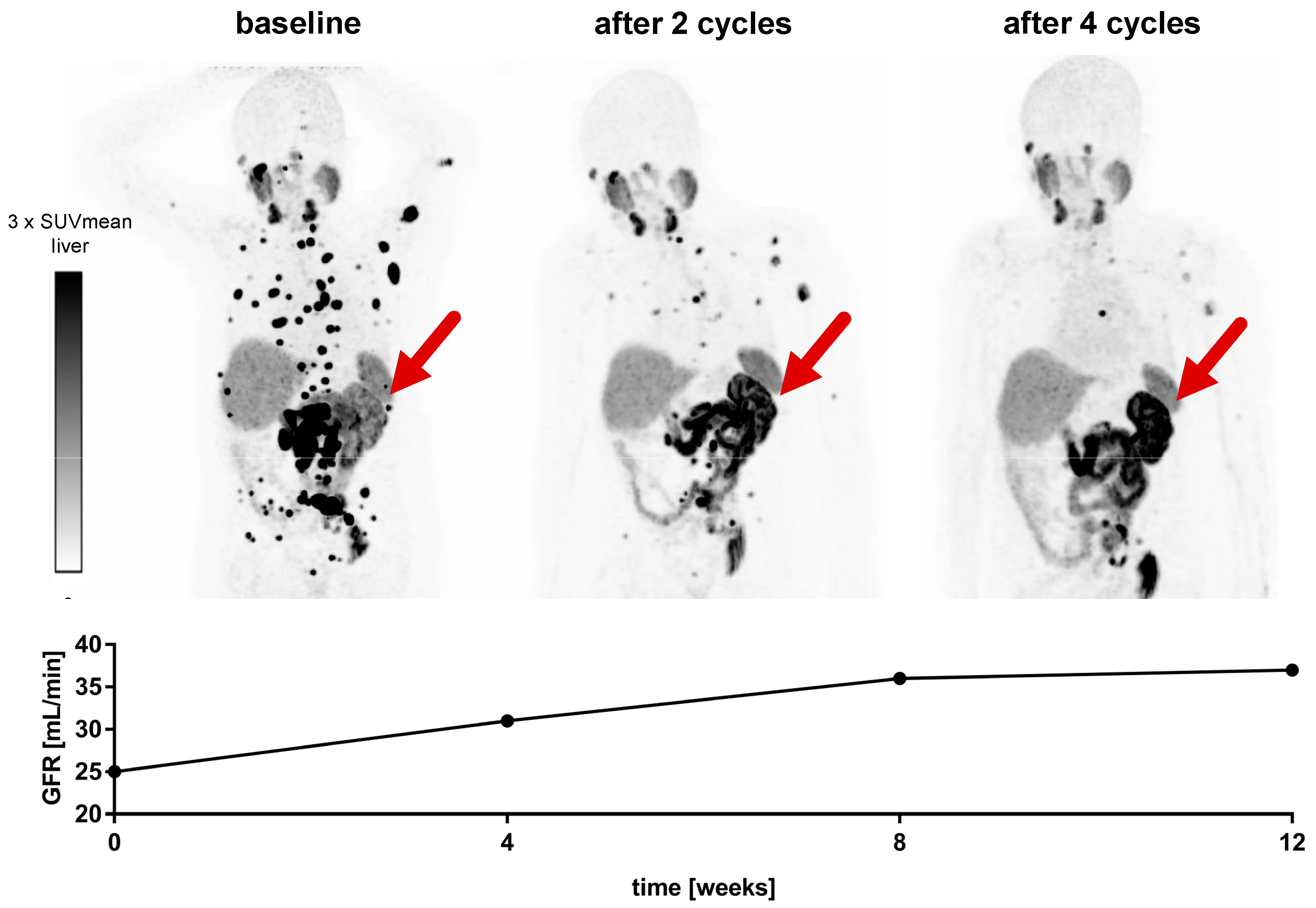Cancers 13 03095 g002 550