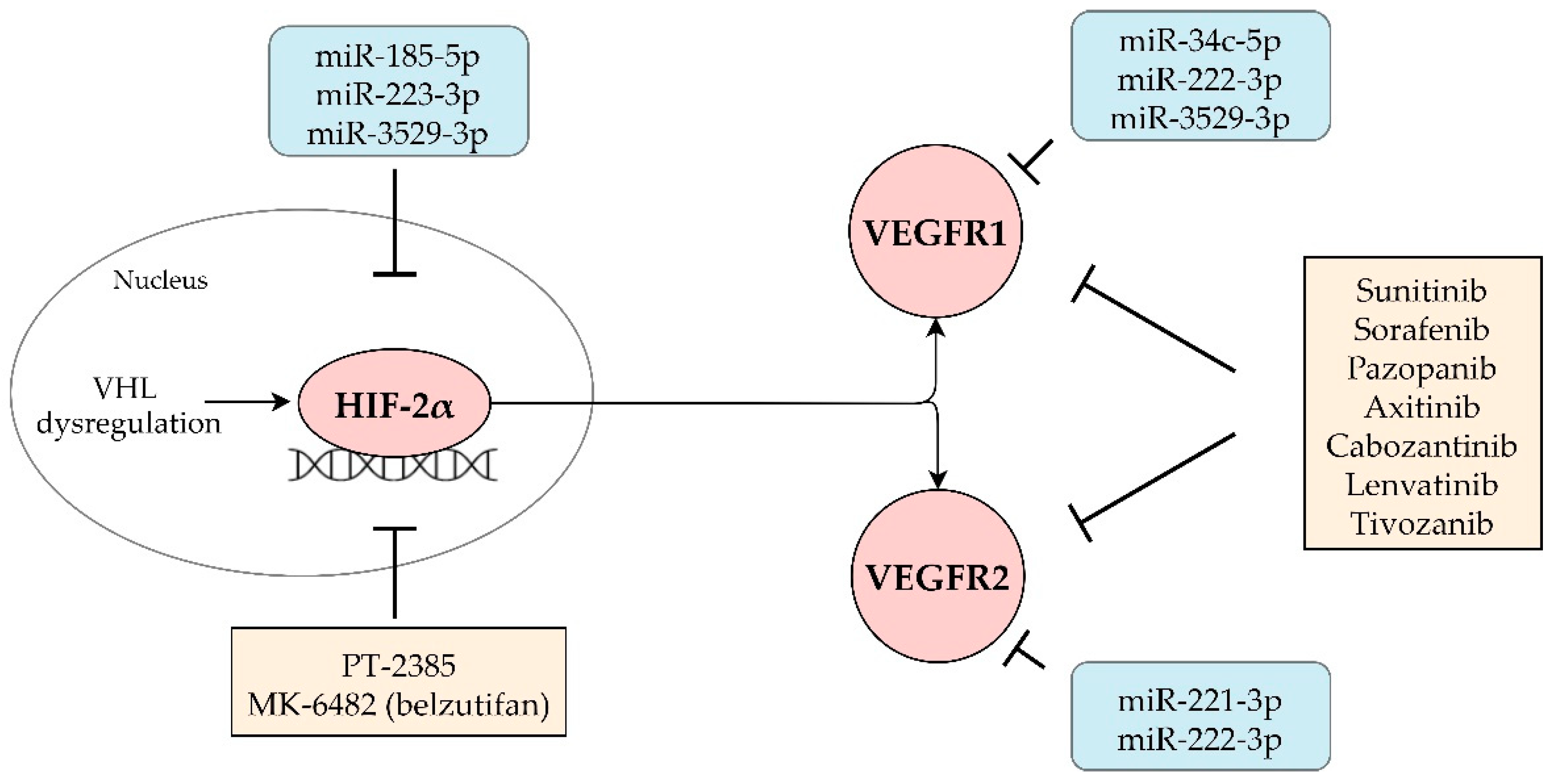 Cancers 13 03099 g004 550