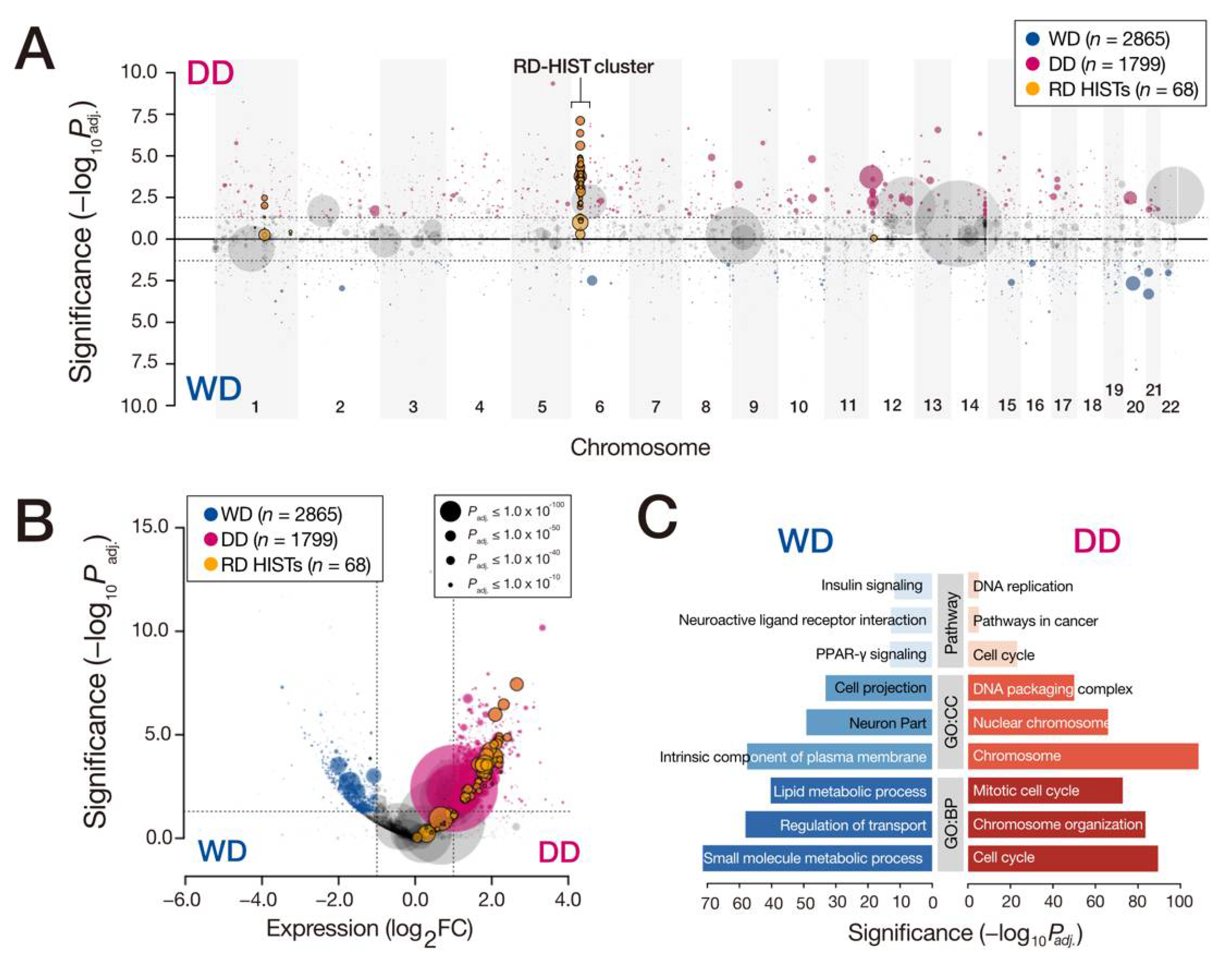 Cancers 13 03122 g001