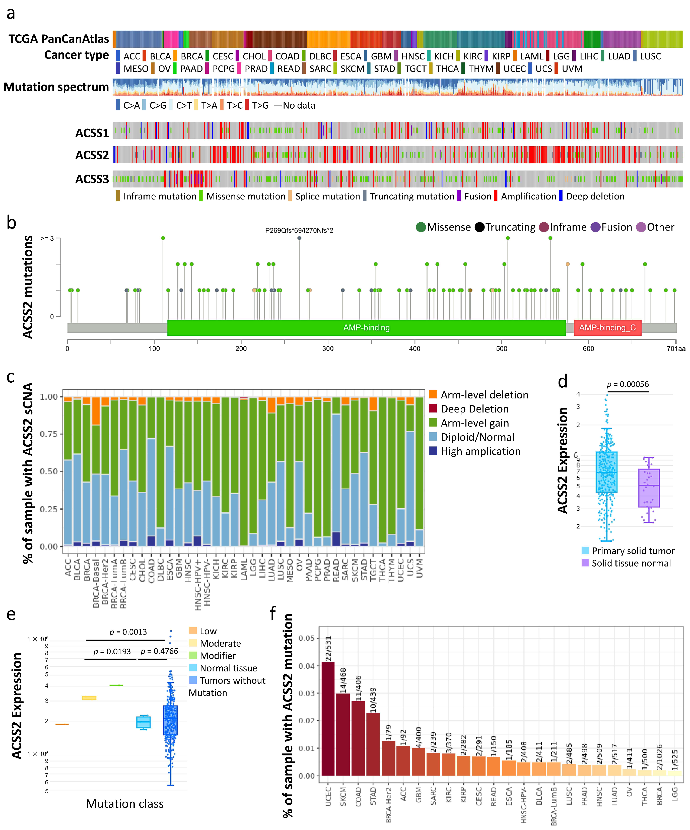 Cancers 13 03125 g003