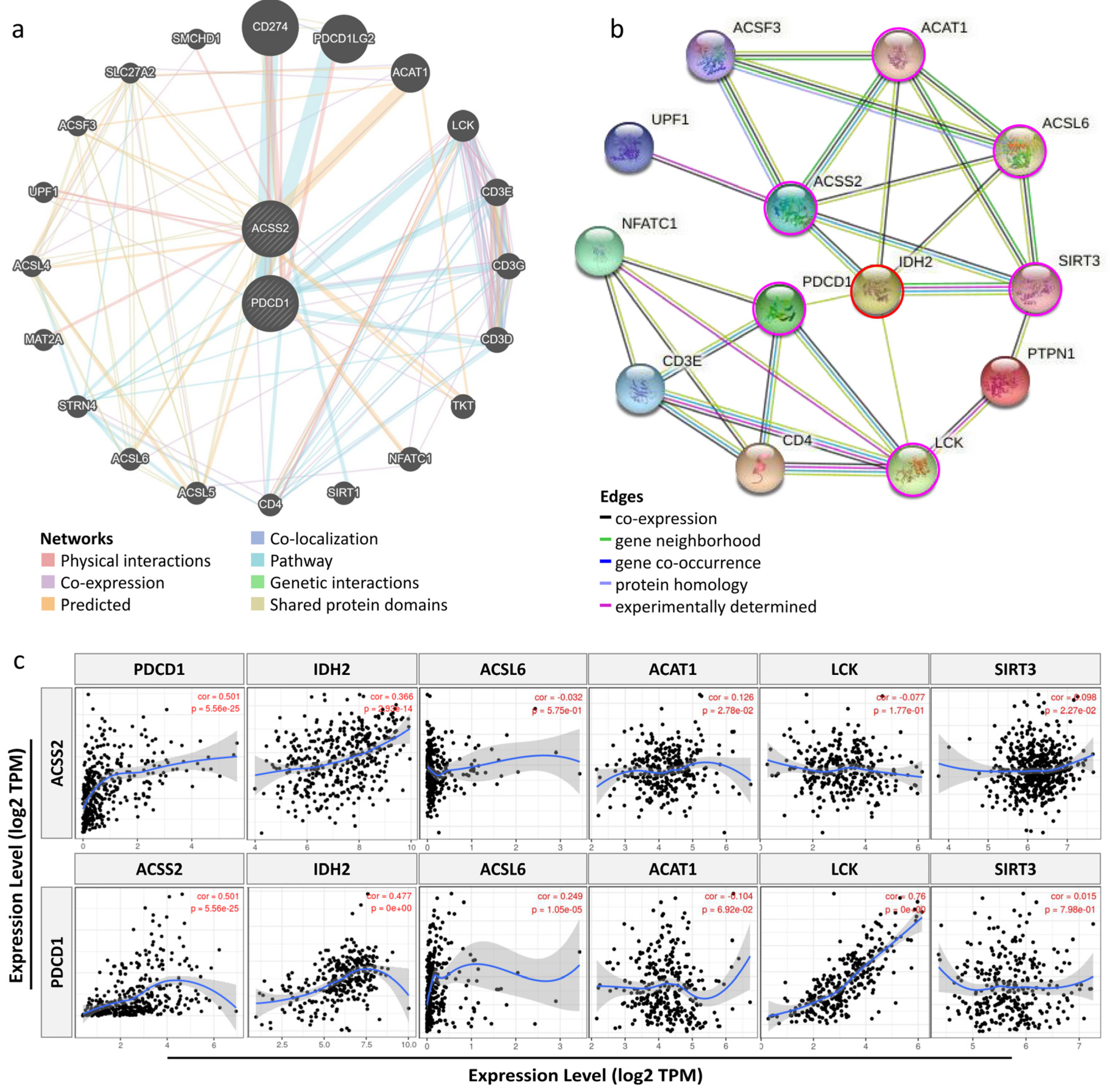 Cancers 13 03125 g004
