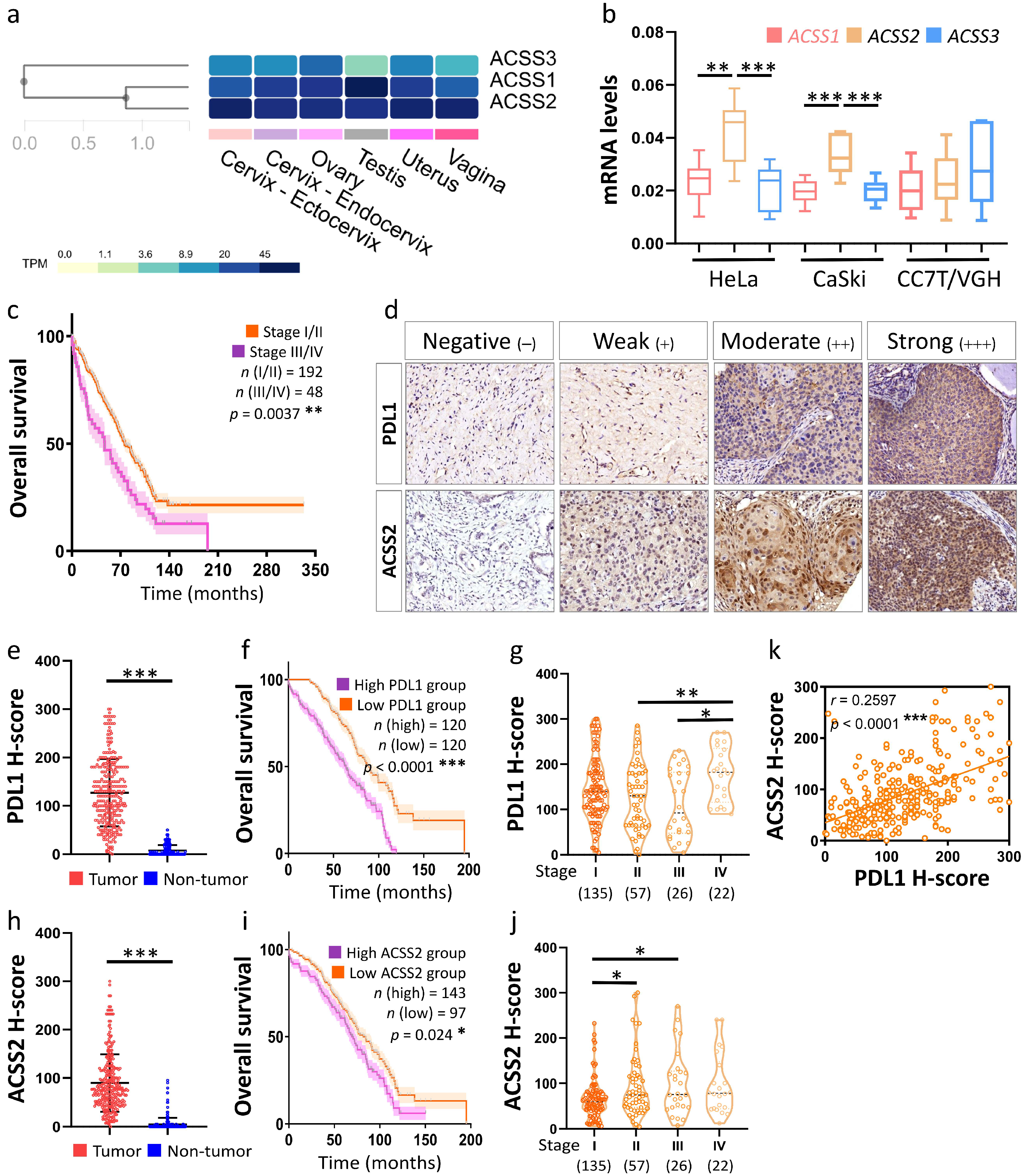 Cancers 13 03125 g005