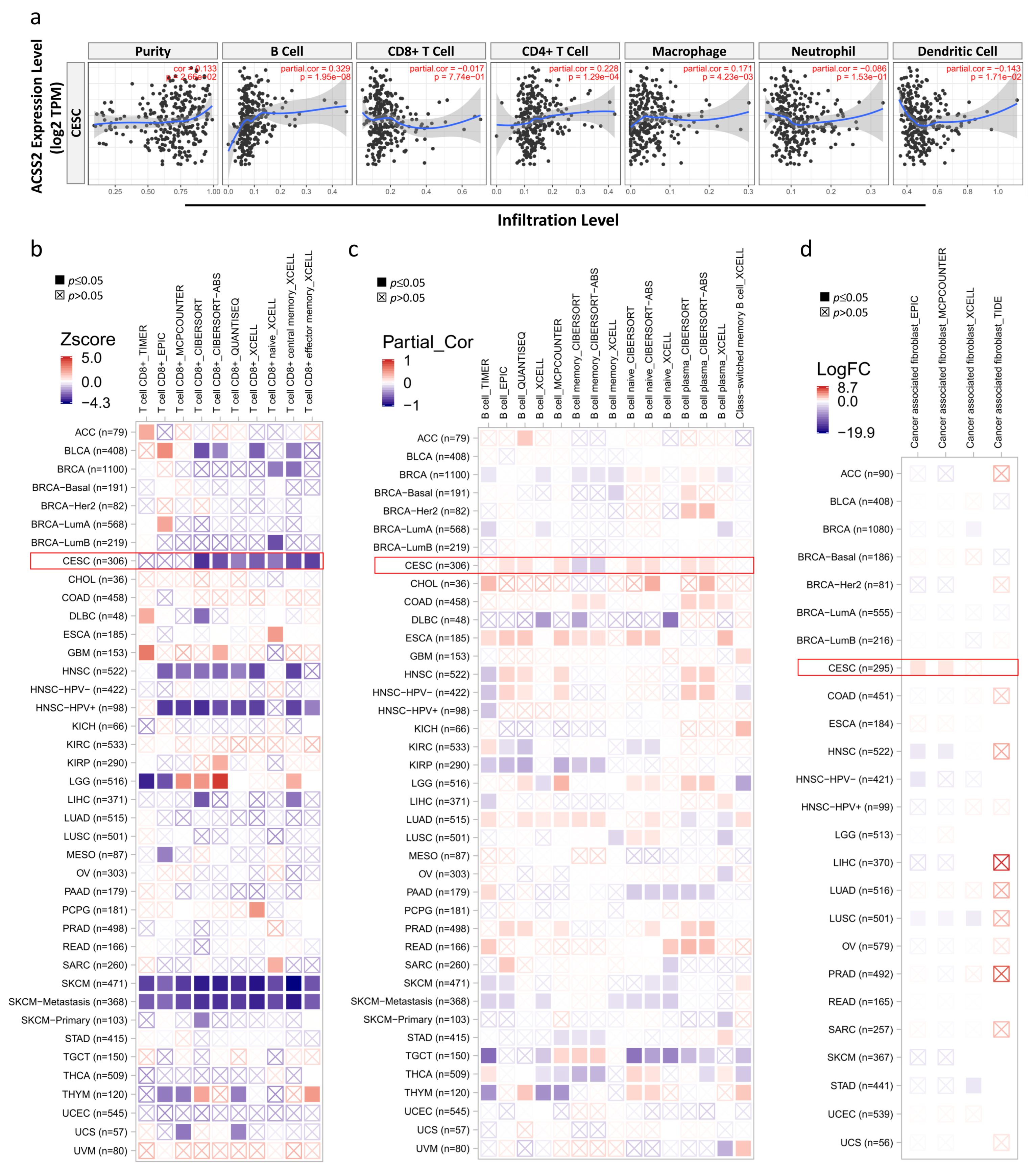 Cancers 13 03125 g007