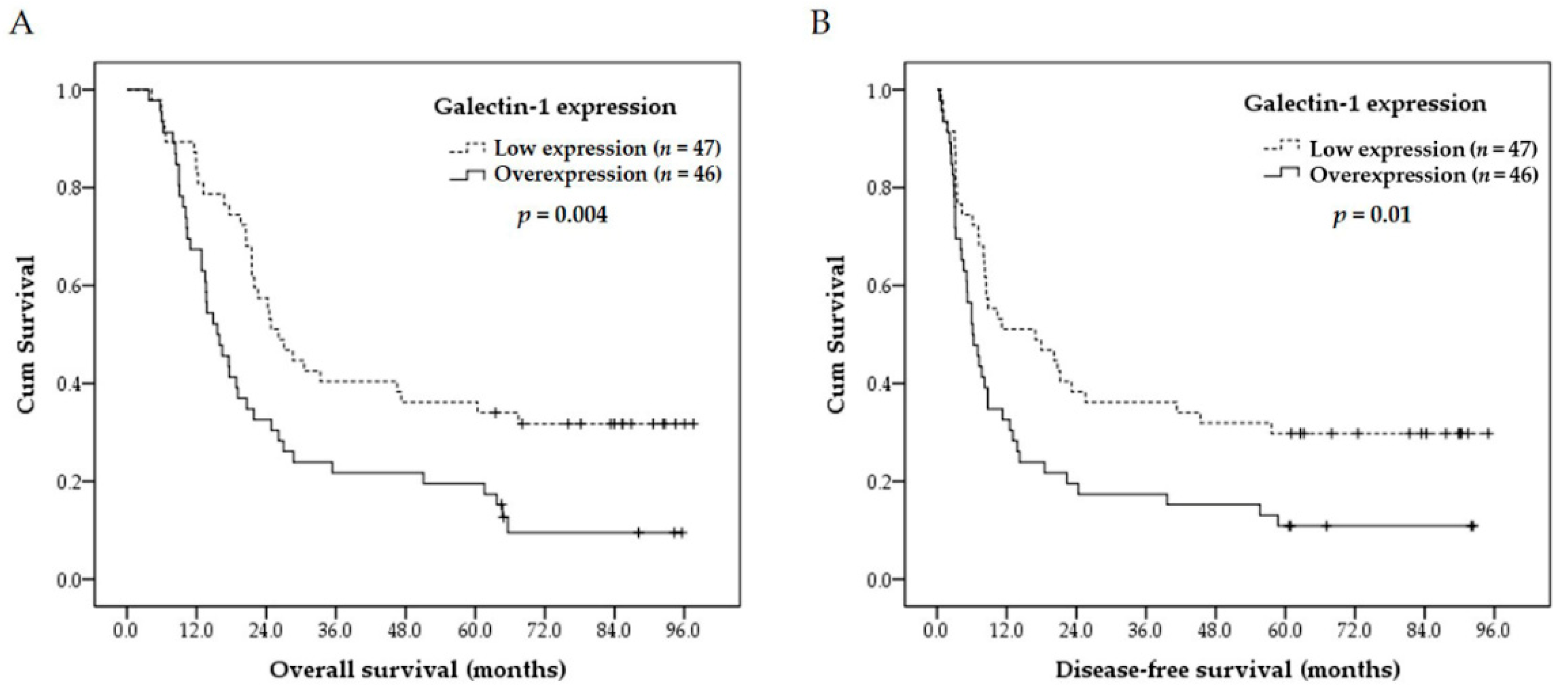 Cancers 13 03147 g002