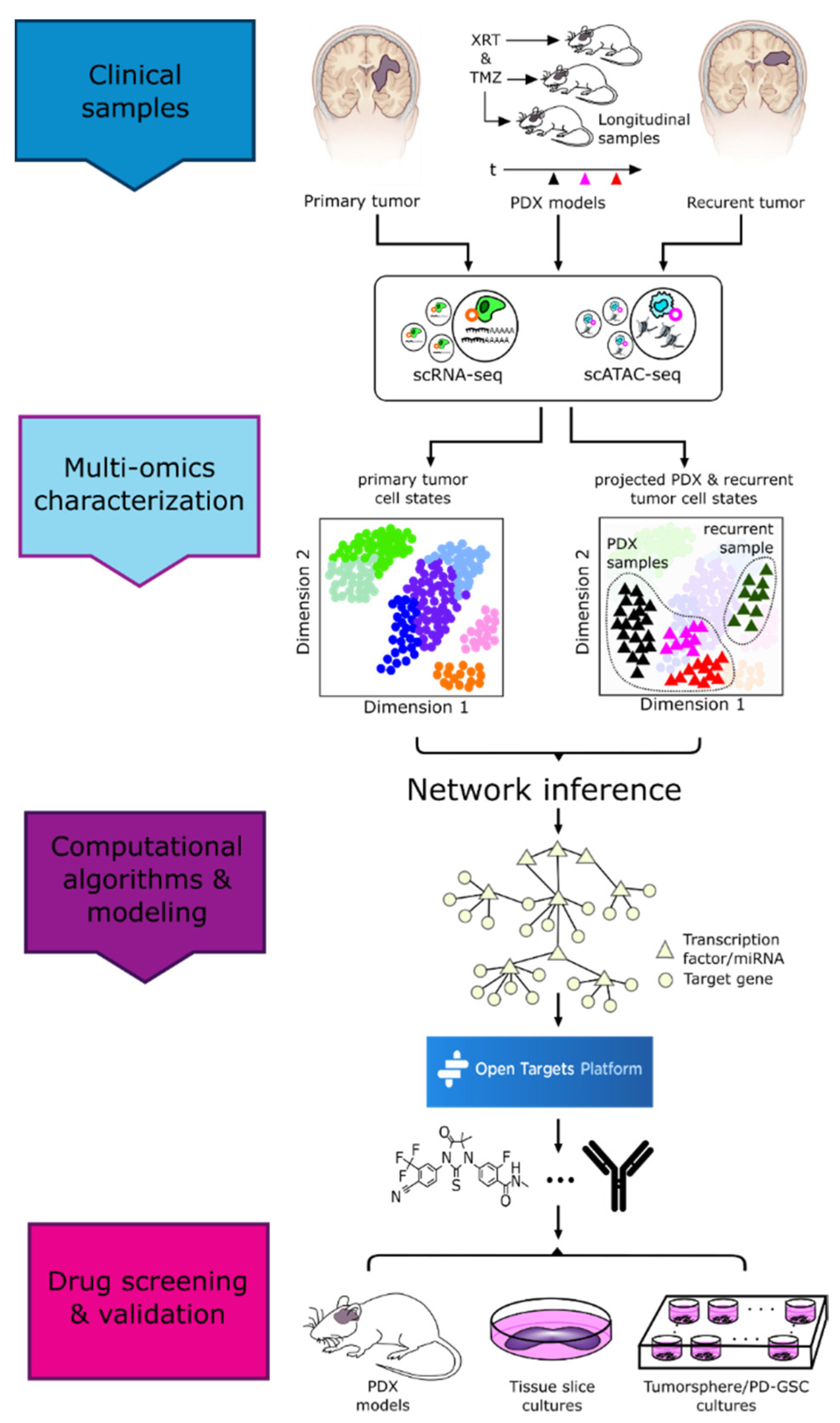 Cancers 13 03152 g003