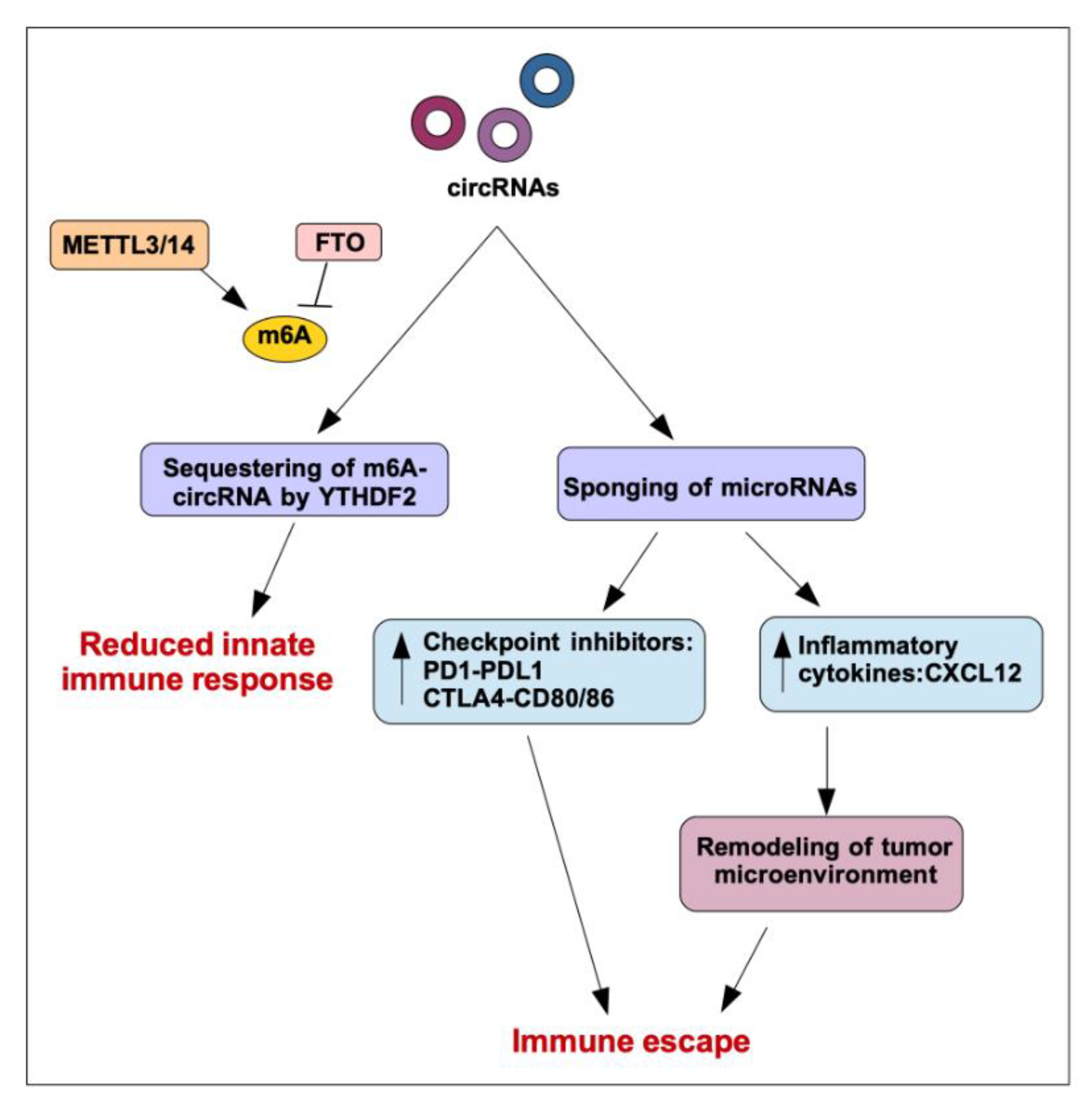 Cancers 13 03154 g003