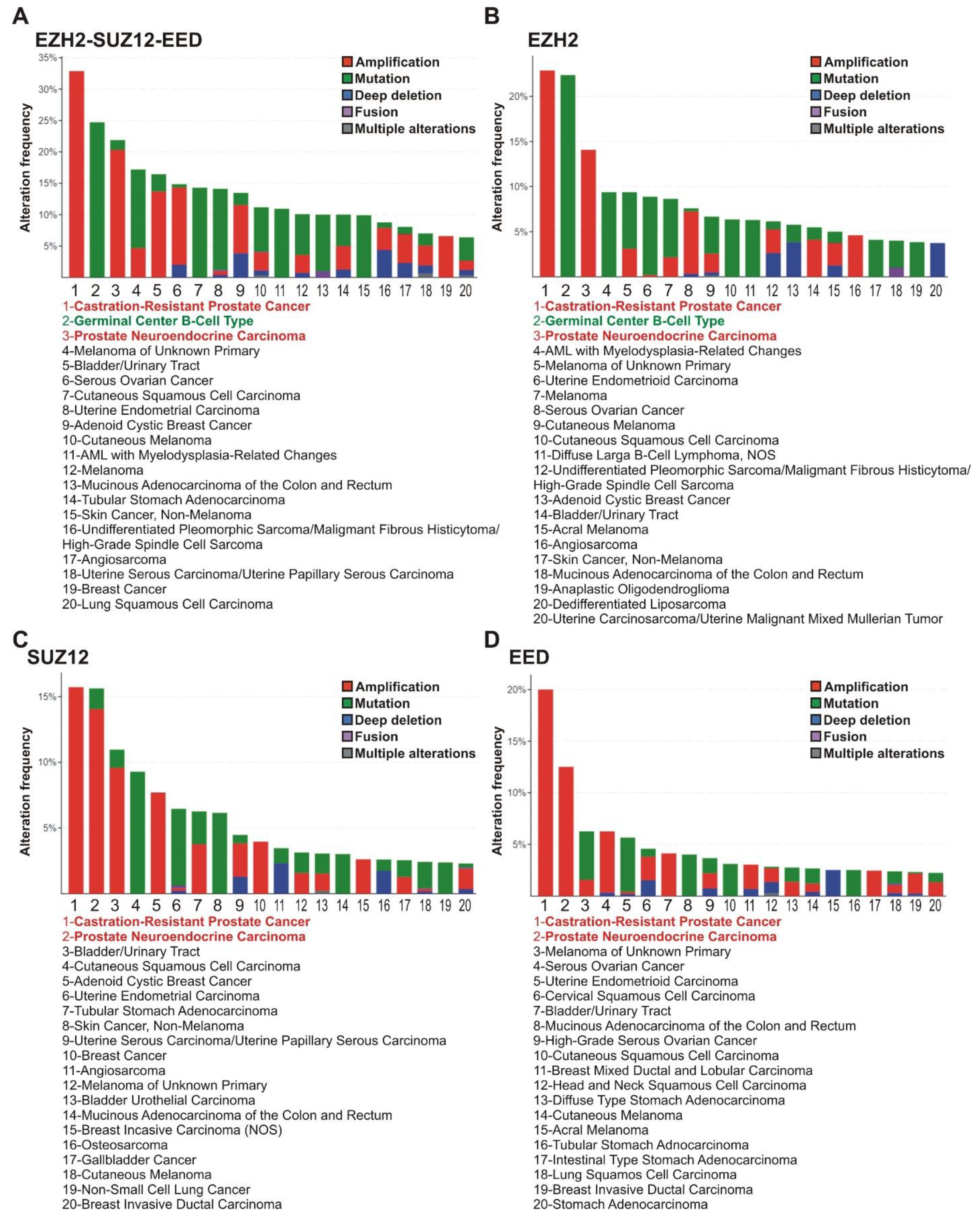 Cancers 13 03155 g002 Cancers 13 03155 g002