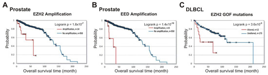 専用ページ　20箱 LPCAT1 enhances the invasion and migration in gastric cancer