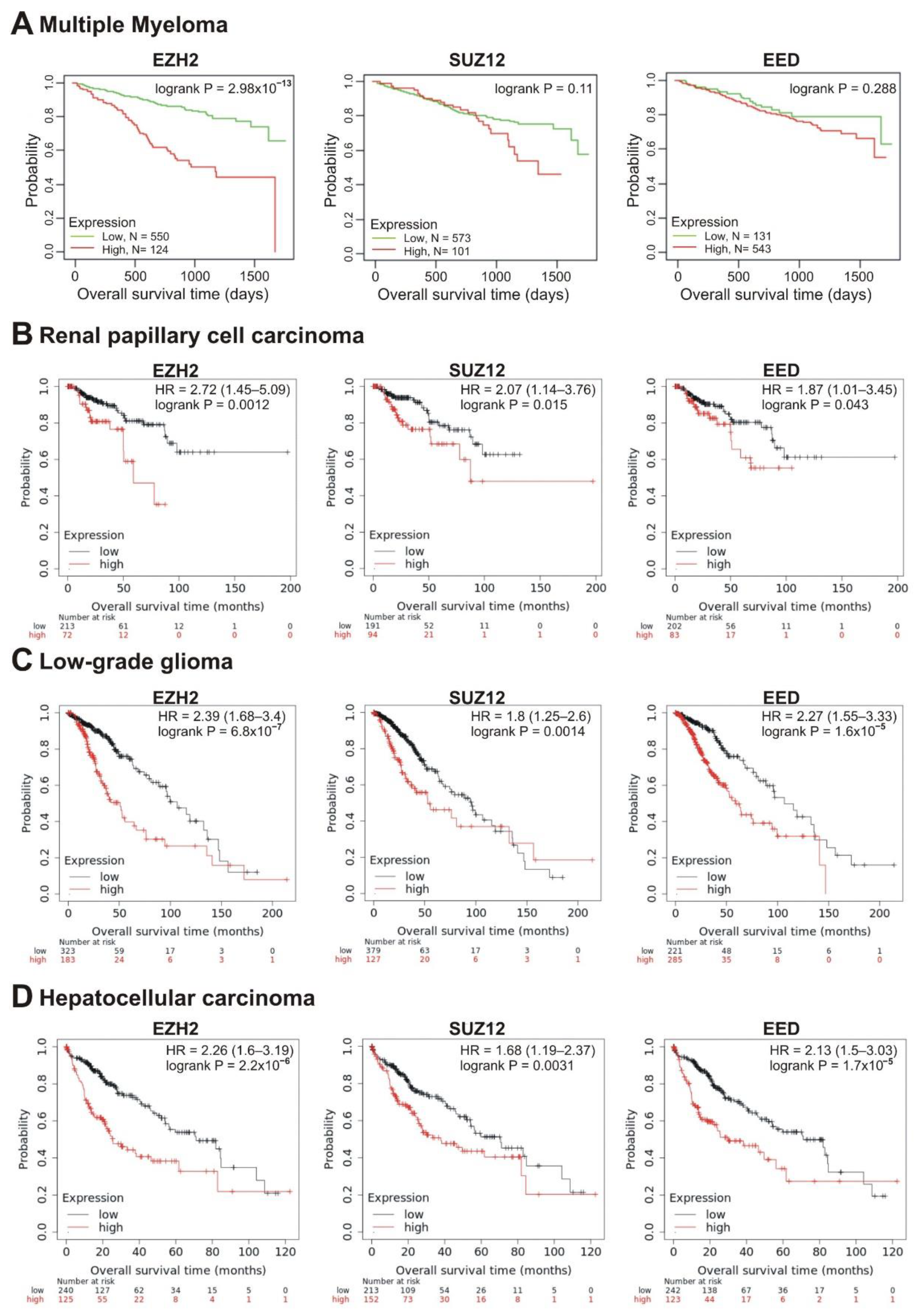 Cancers 13 03155 g004 Cancers 13 03155 g004