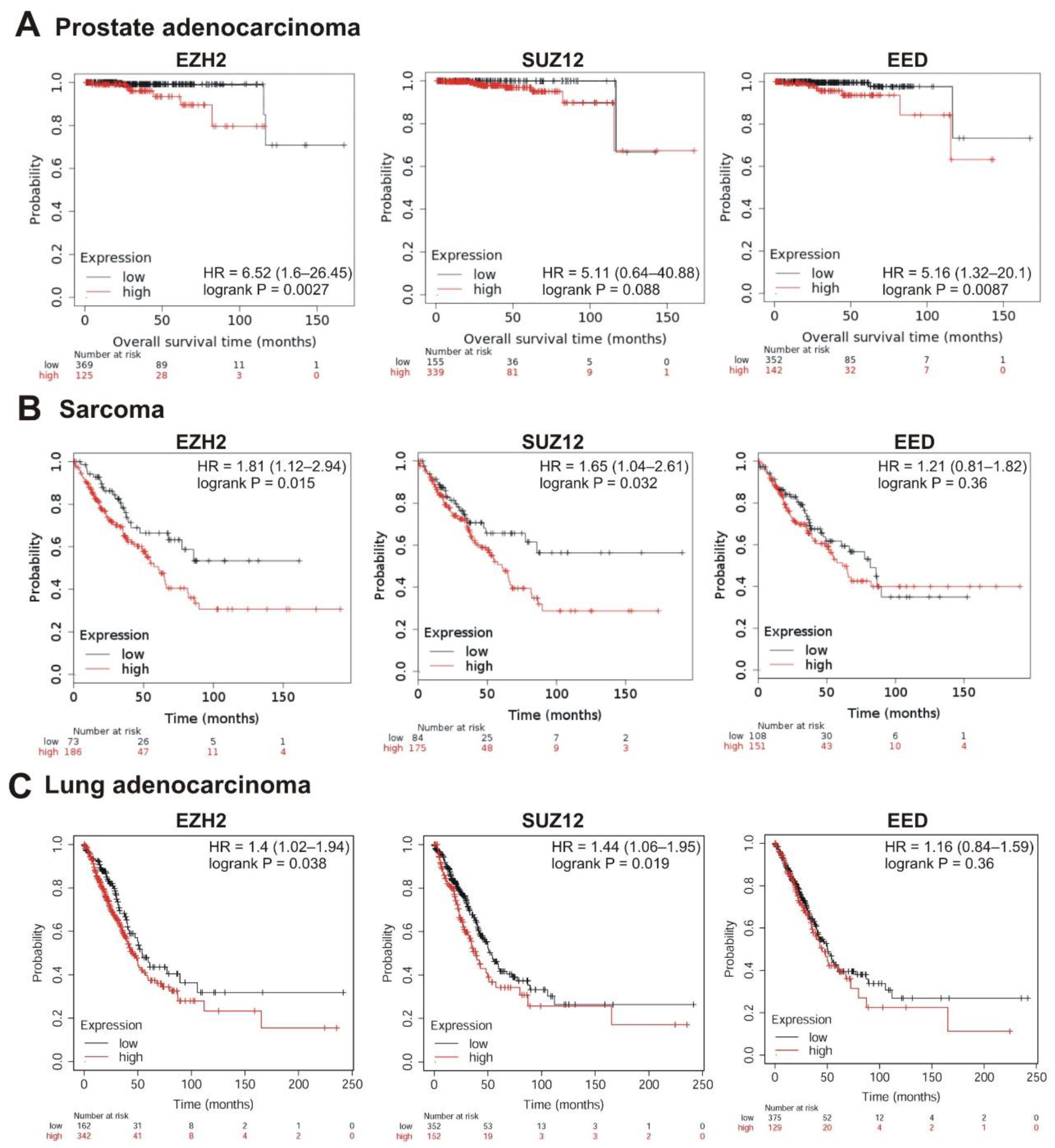 Cancers 13 03155 g005 Cancers 13 03155 g005