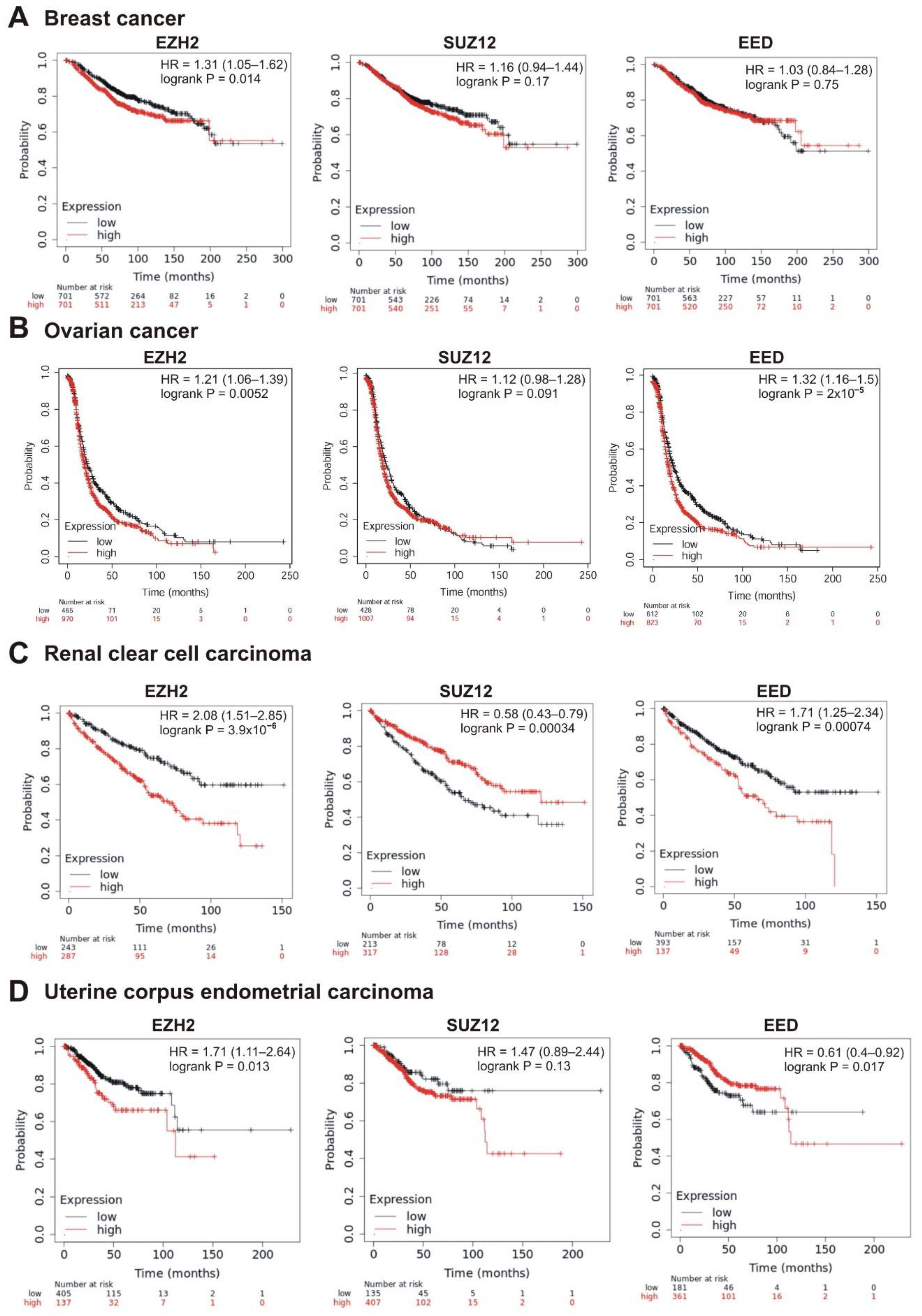 Cancers 13 03155 g006 Cancers 13 03155 g006