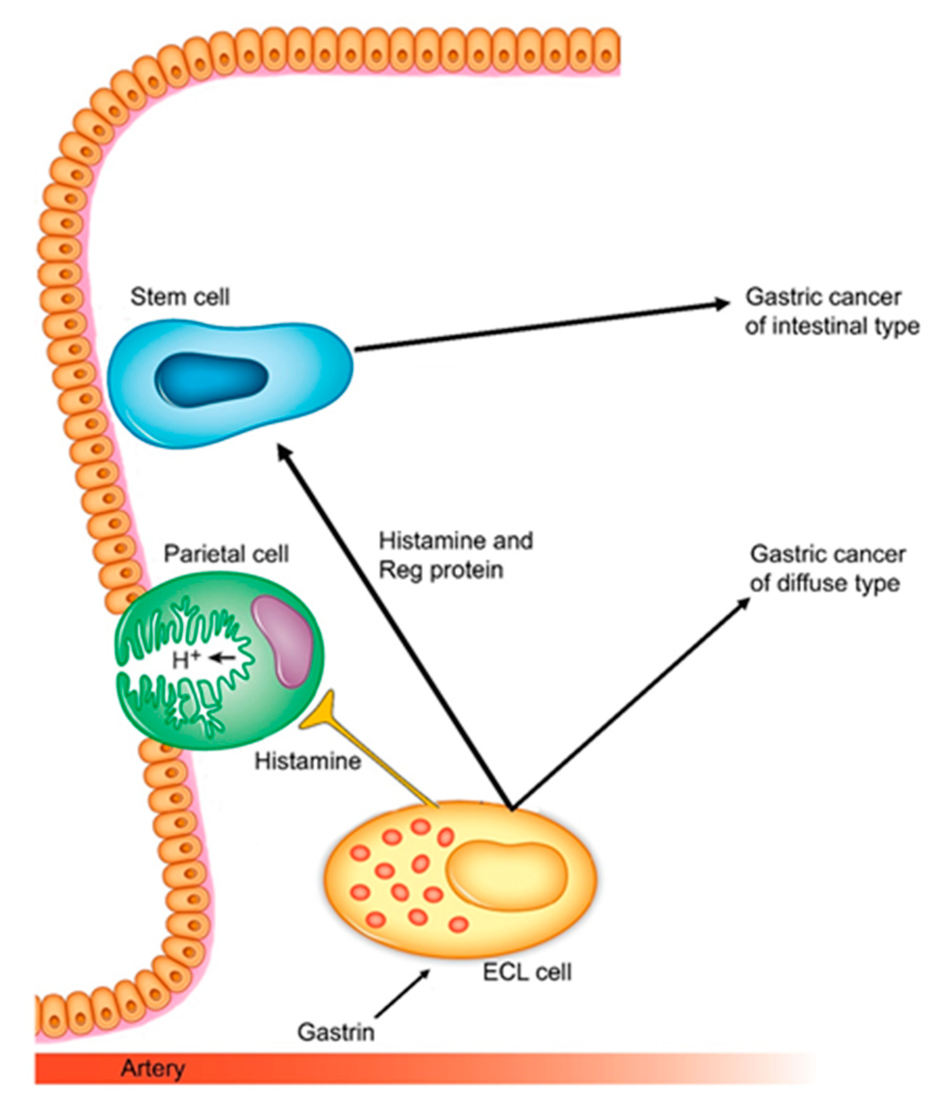 Cancers 13 03159 g001 Cancers 13 03159 g001