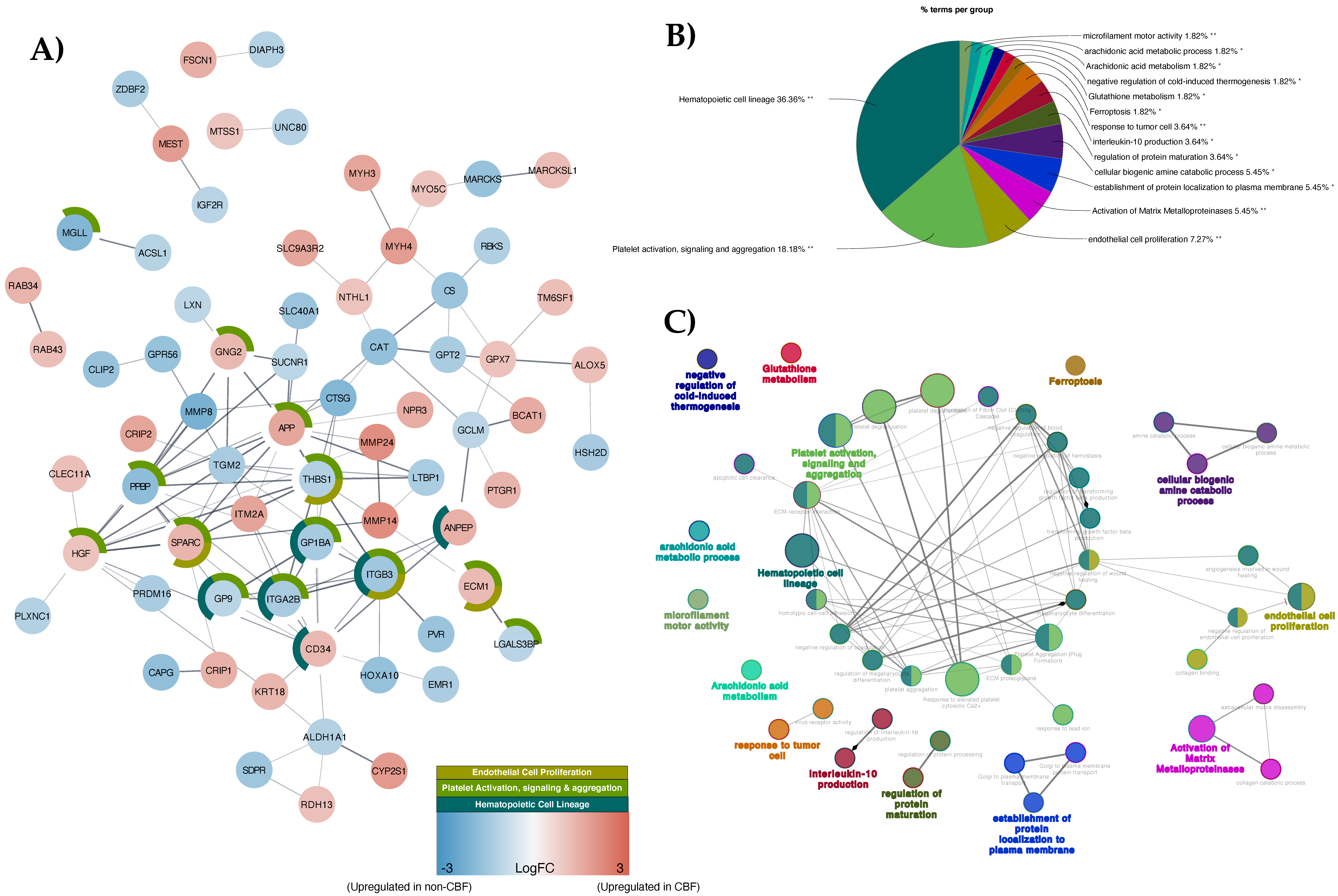 Cancers 13 03161 g002