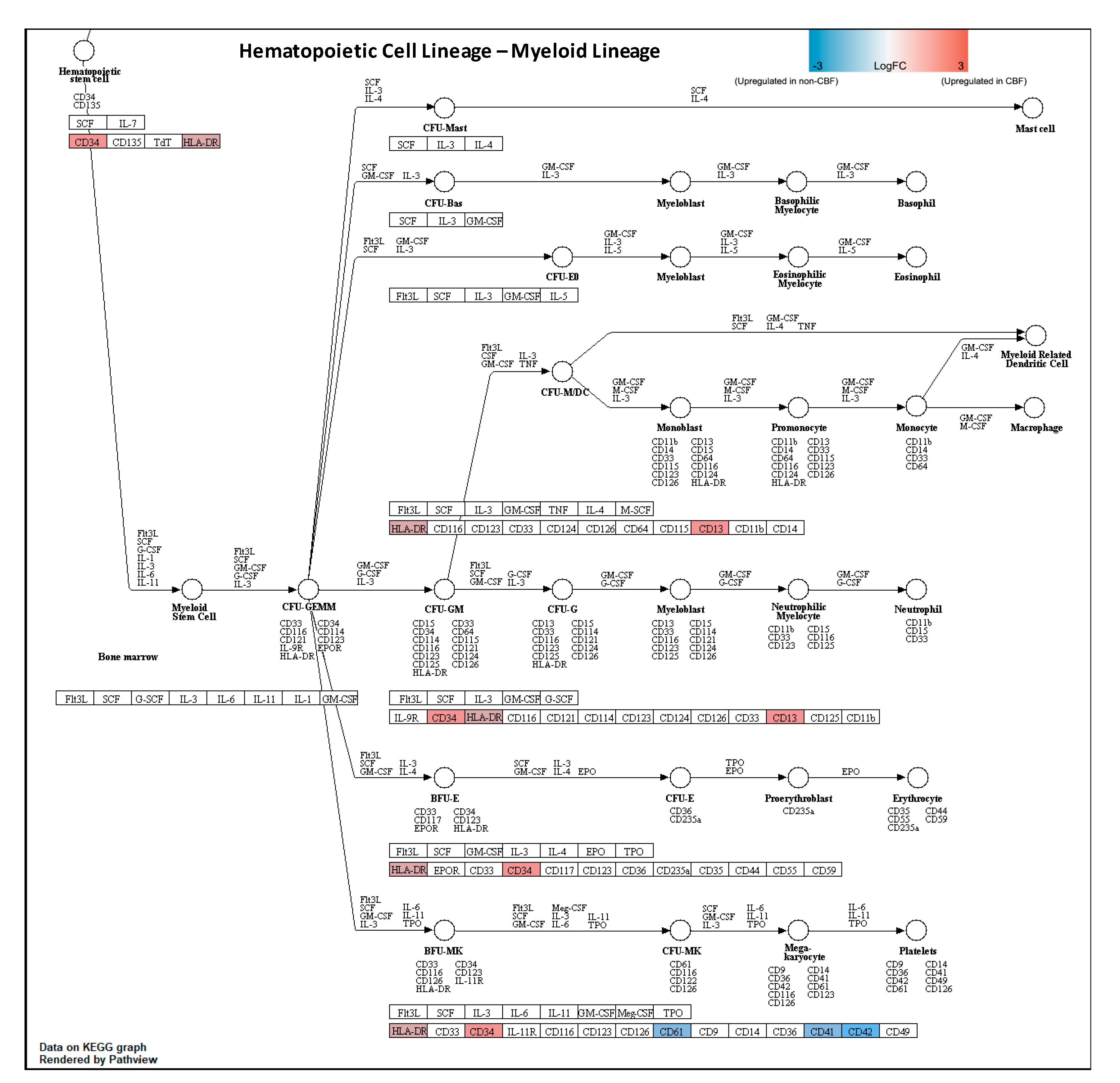 Cancers 13 03161 g003