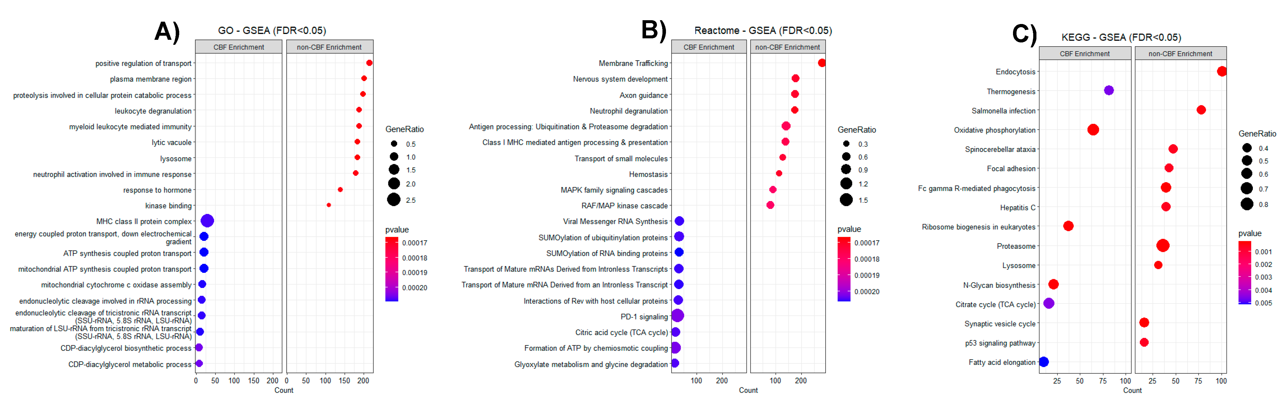 Cancers 13 03161 g004
