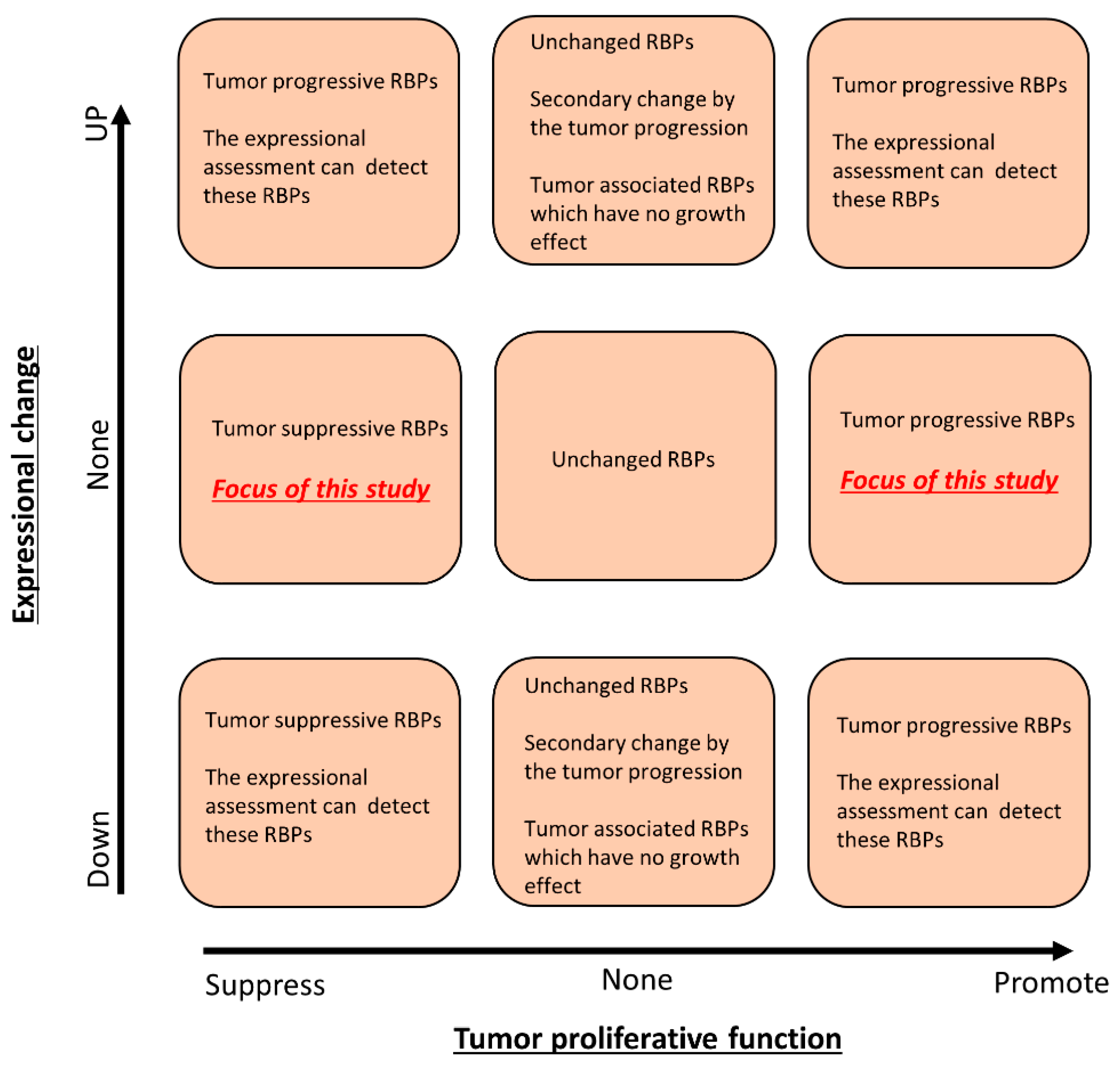Evolution of Cancer\r
英語版 Single-cell and spatiotemporal profile of ovulation in the