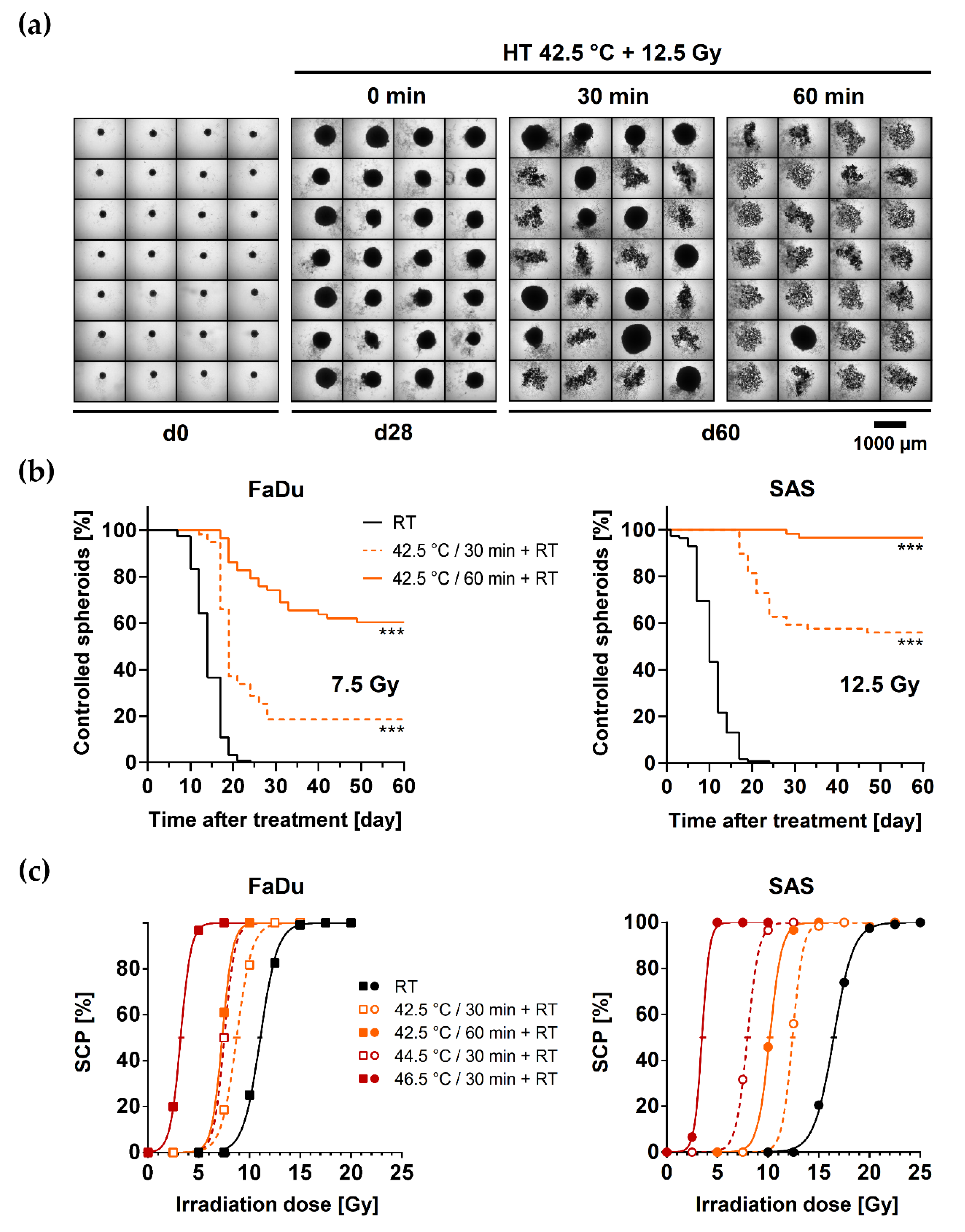 Cancers 13 03168 g002