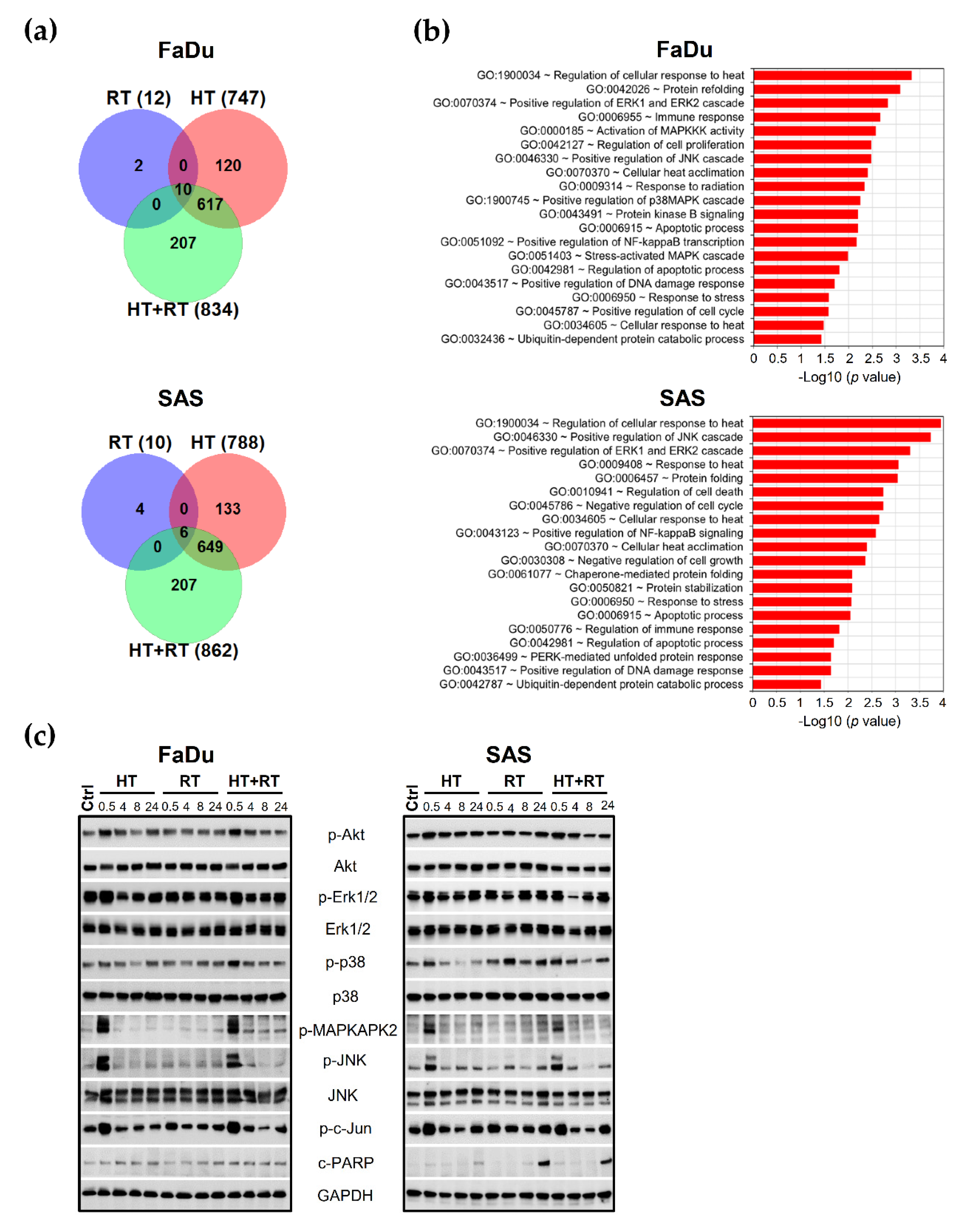 Cancers 13 03168 g003