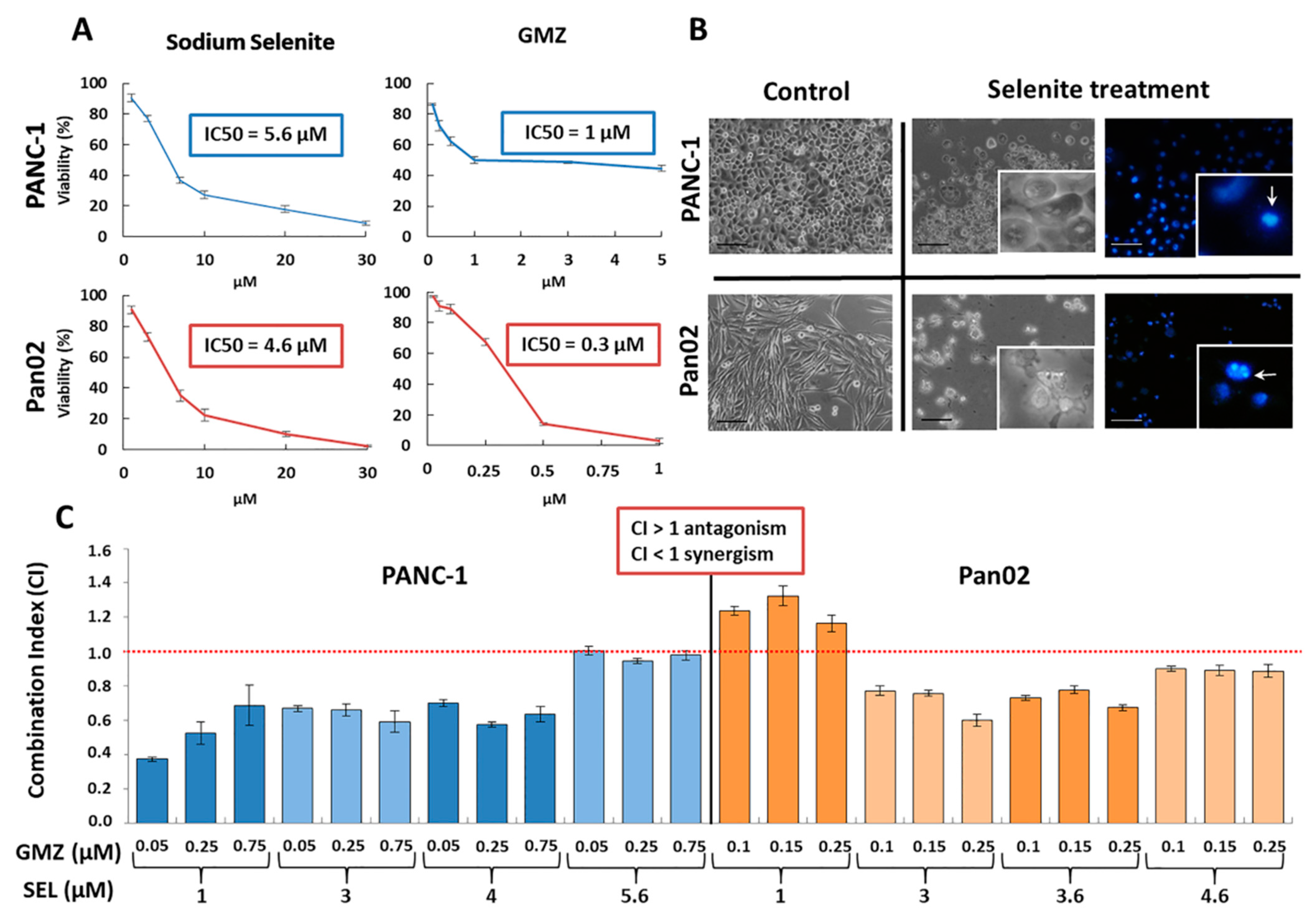 Cancers 13 03169 g001