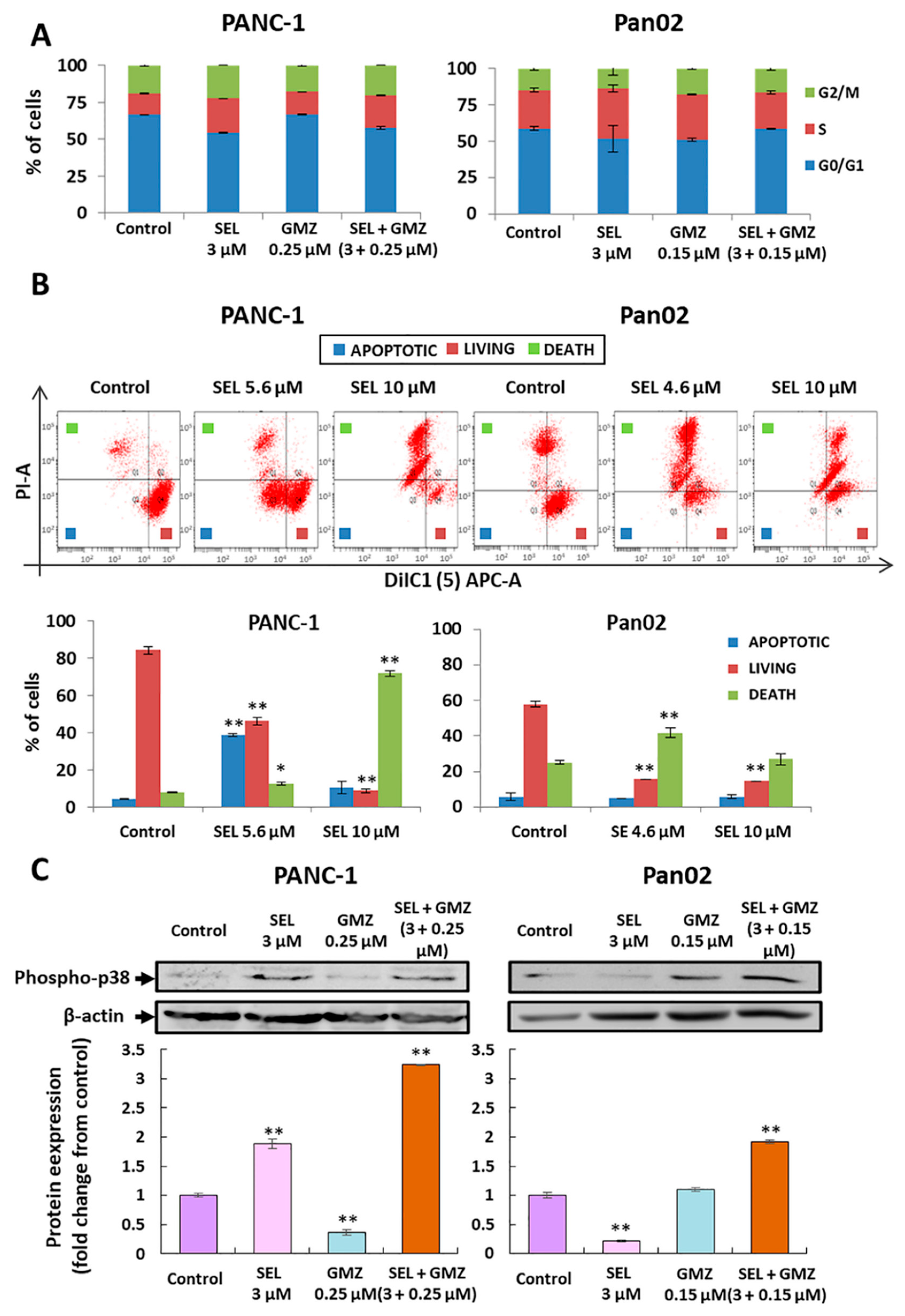 Cancers 13 03169 g002