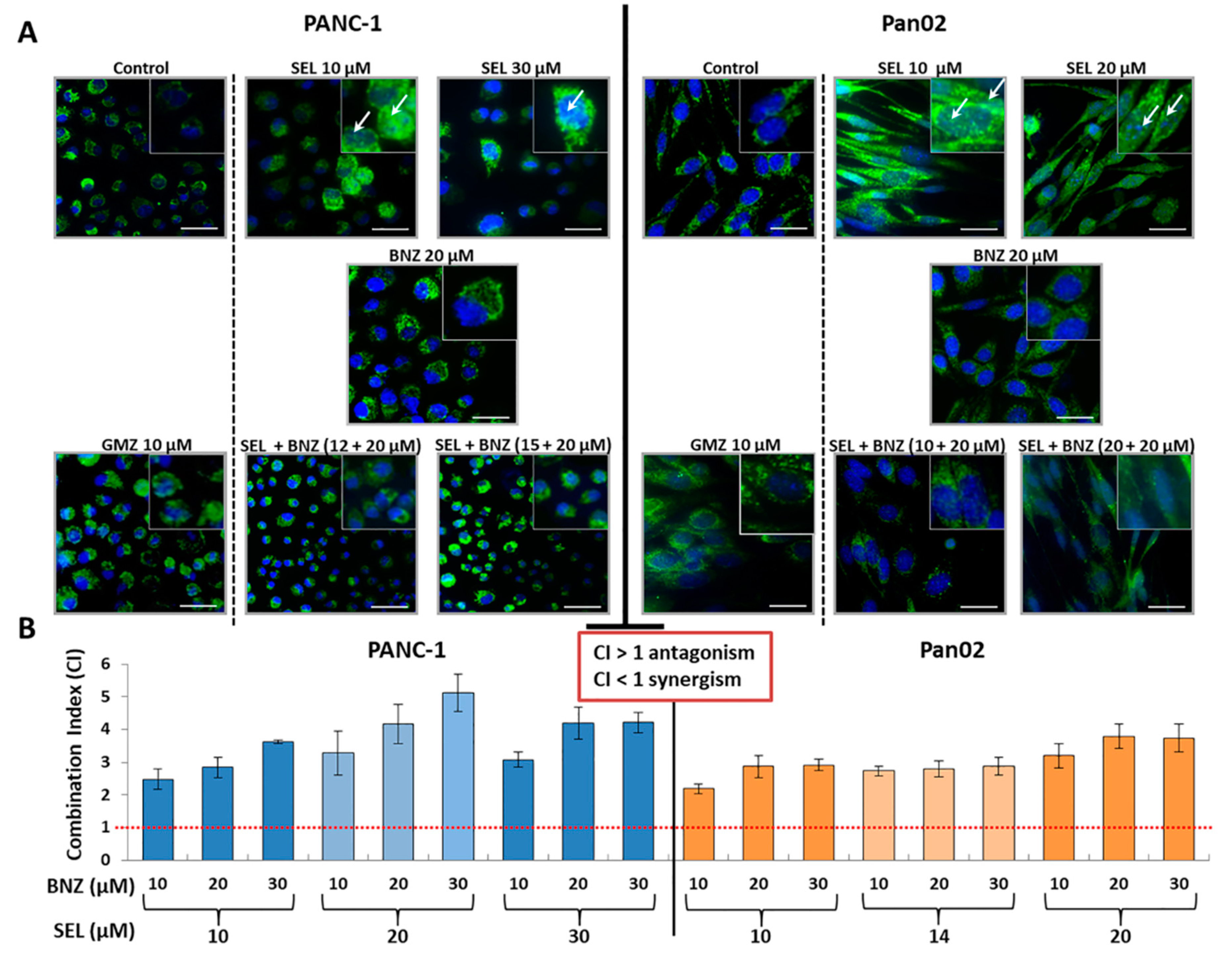 Cancers 13 03169 g003