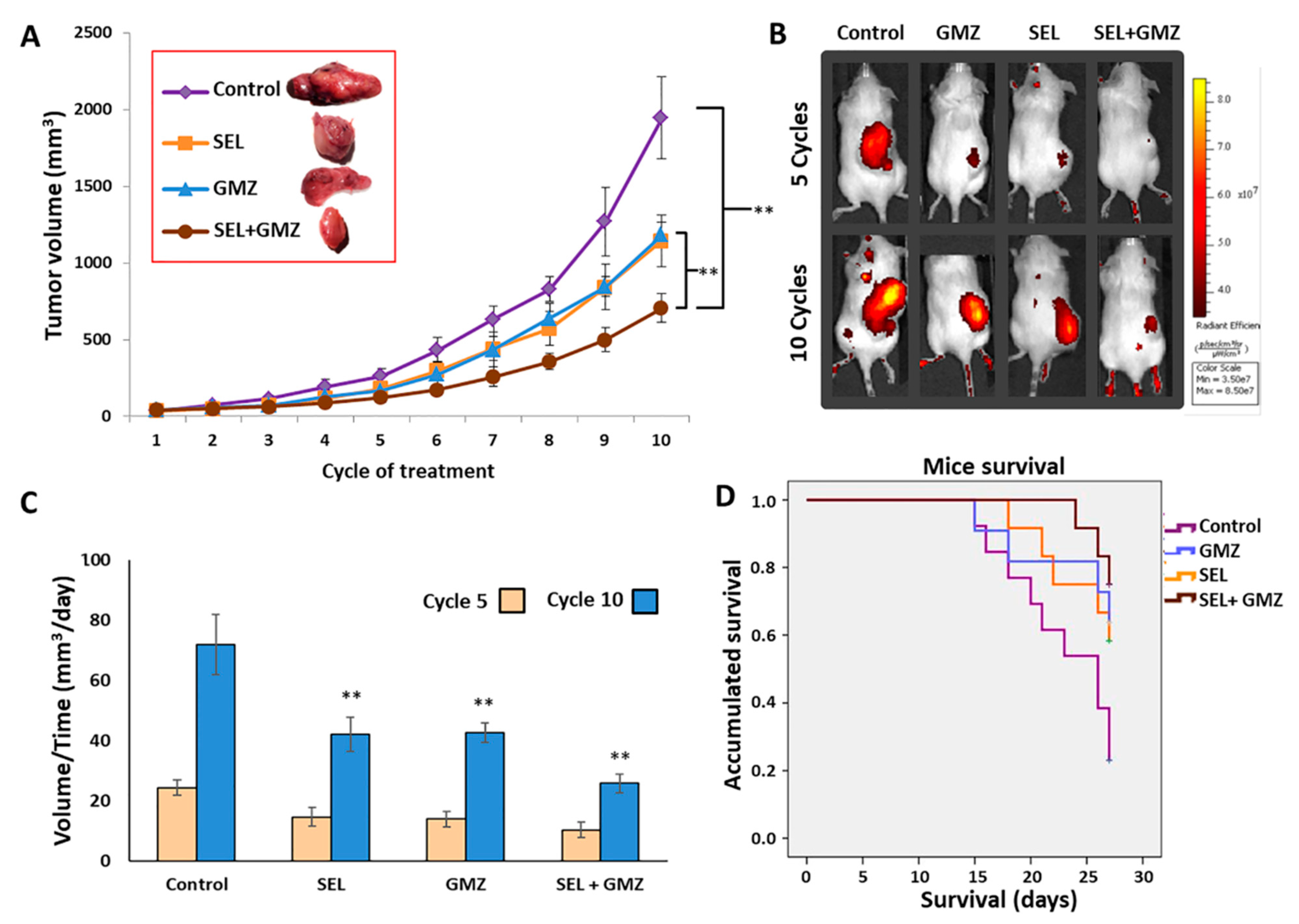 Cancers 13 03169 g006