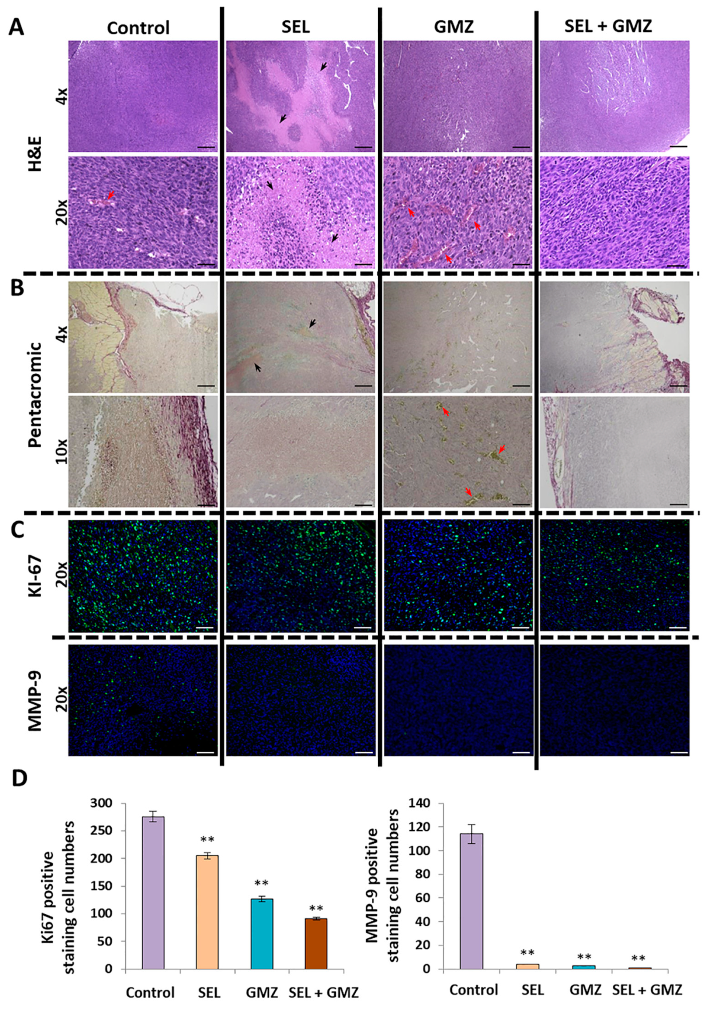 Cancers 13 03169 g007