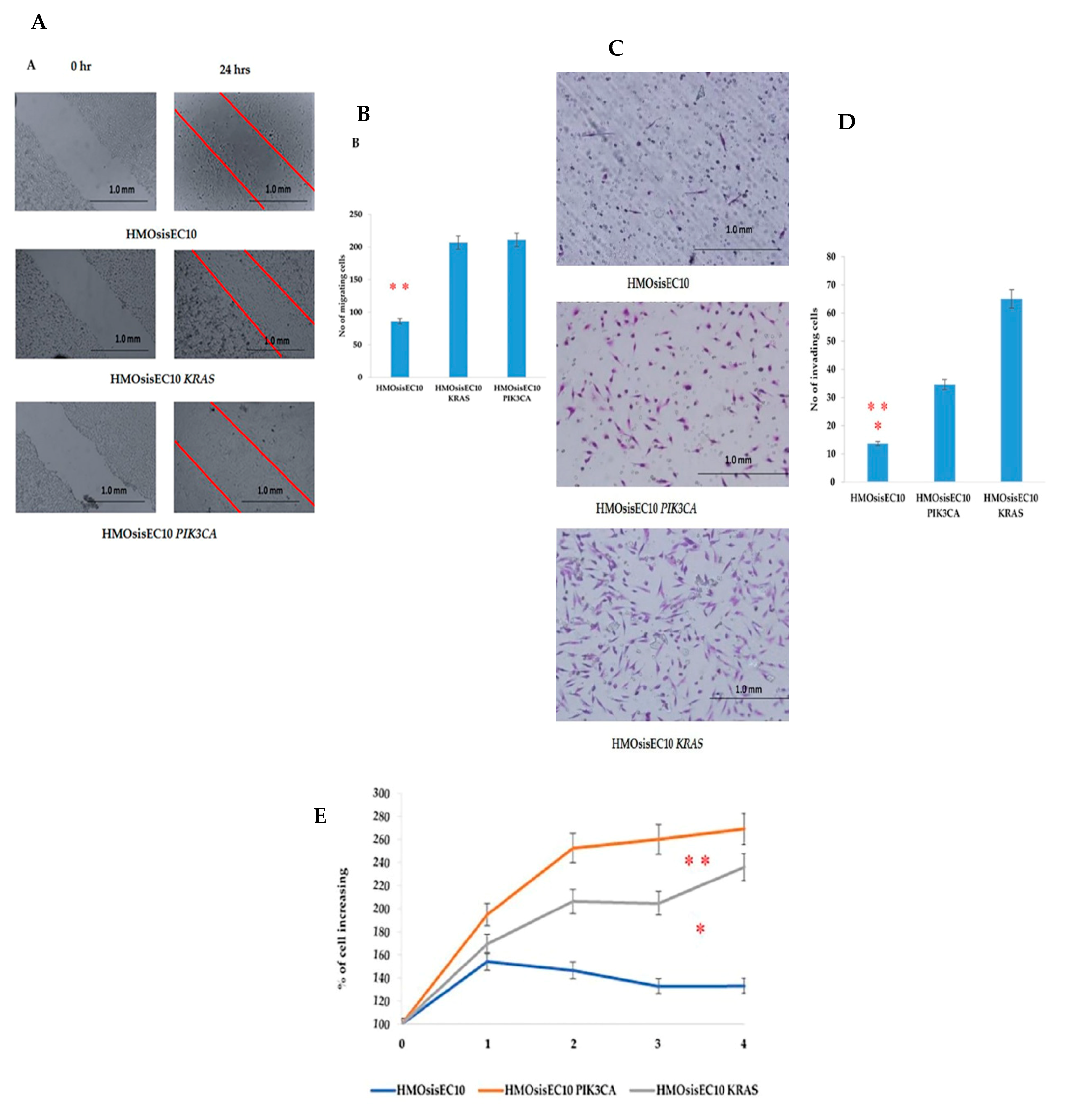 Cancers 13 03174 g001 Cancers 13 03174 g001