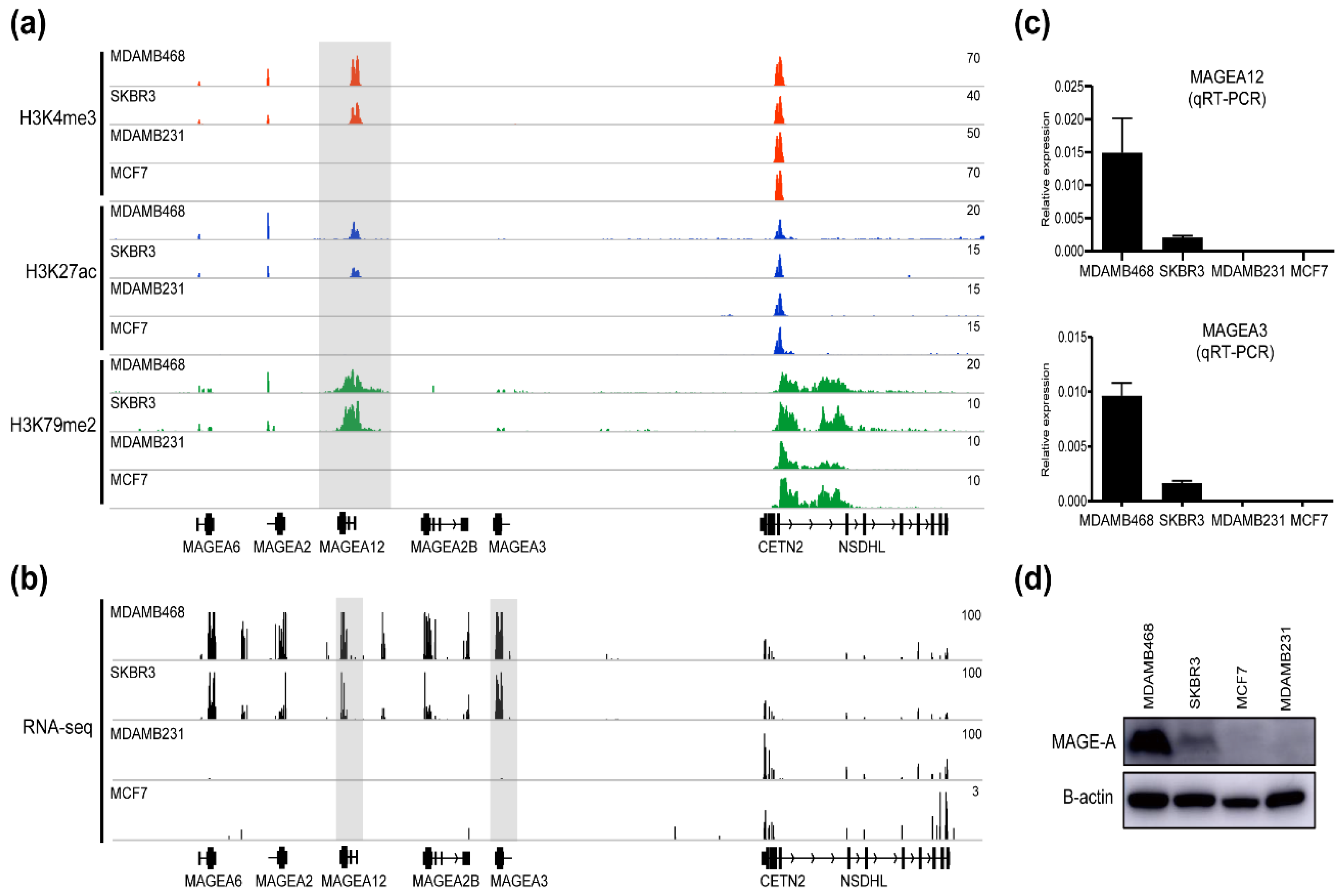 Cancers 13 03176 g002 Cancers 13 03176 g002