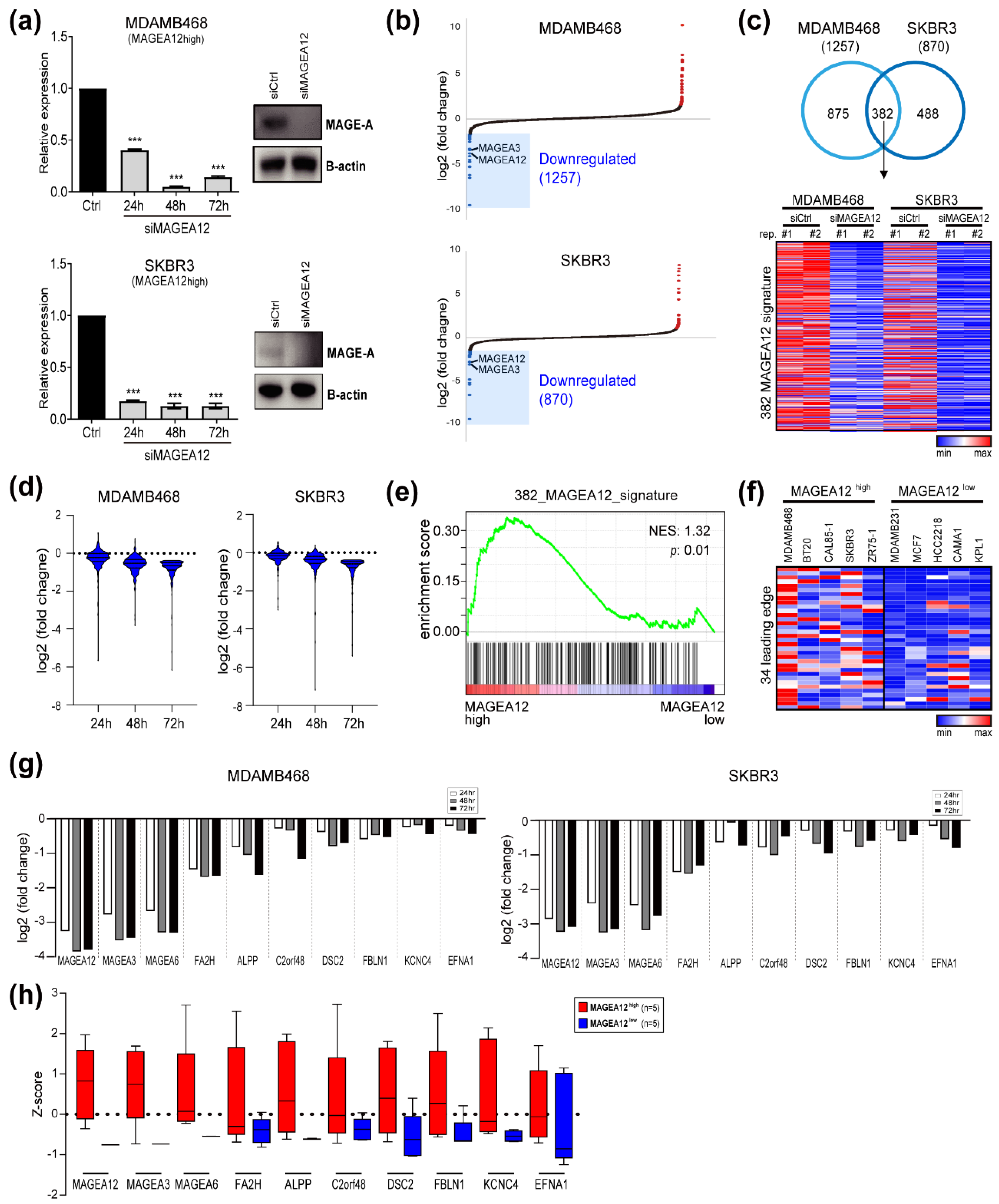 Cancers 13 03176 g003 Cancers 13 03176 g003
