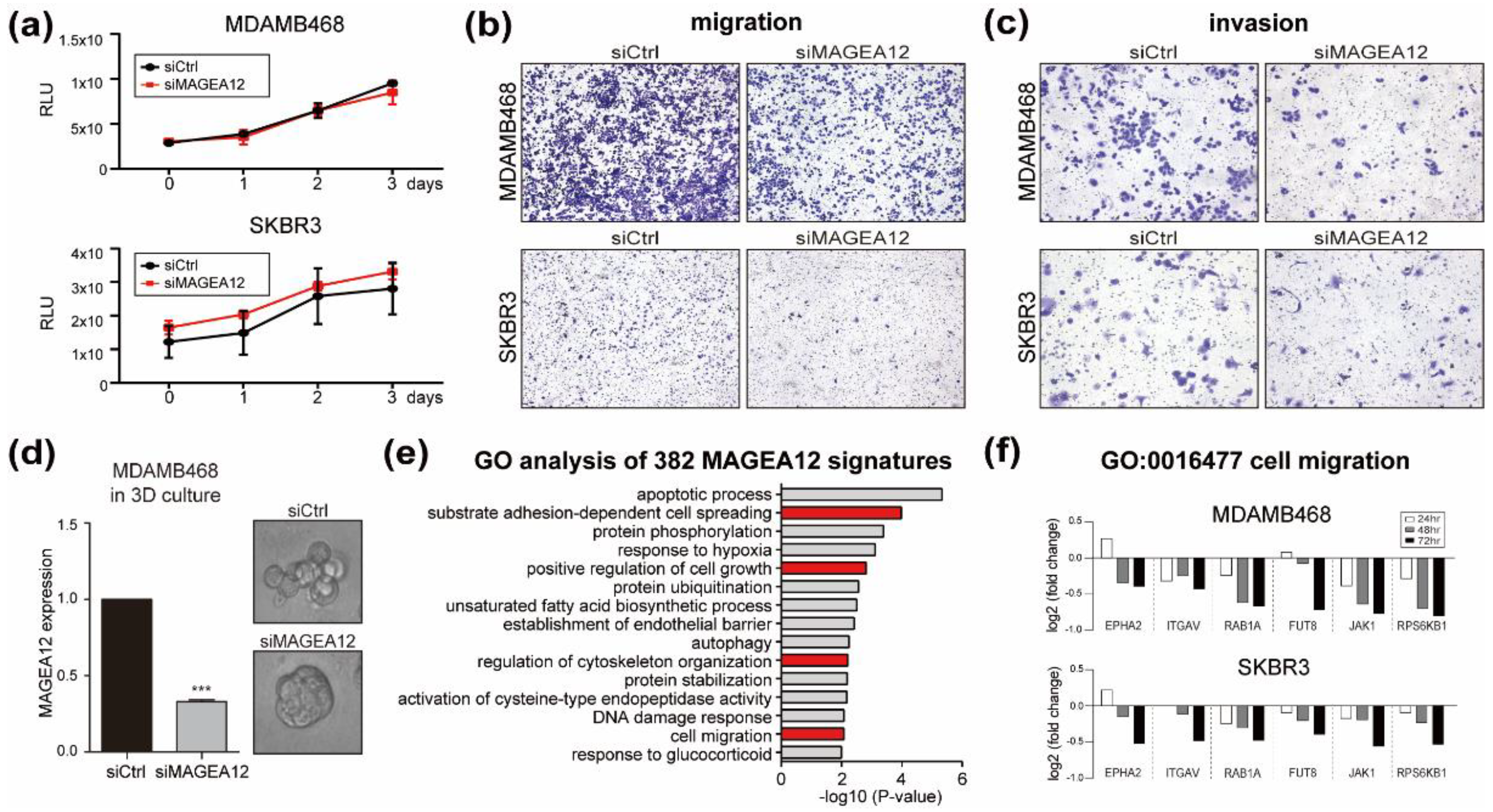 Cancers 13 03176 g004 Cancers 13 03176 g004