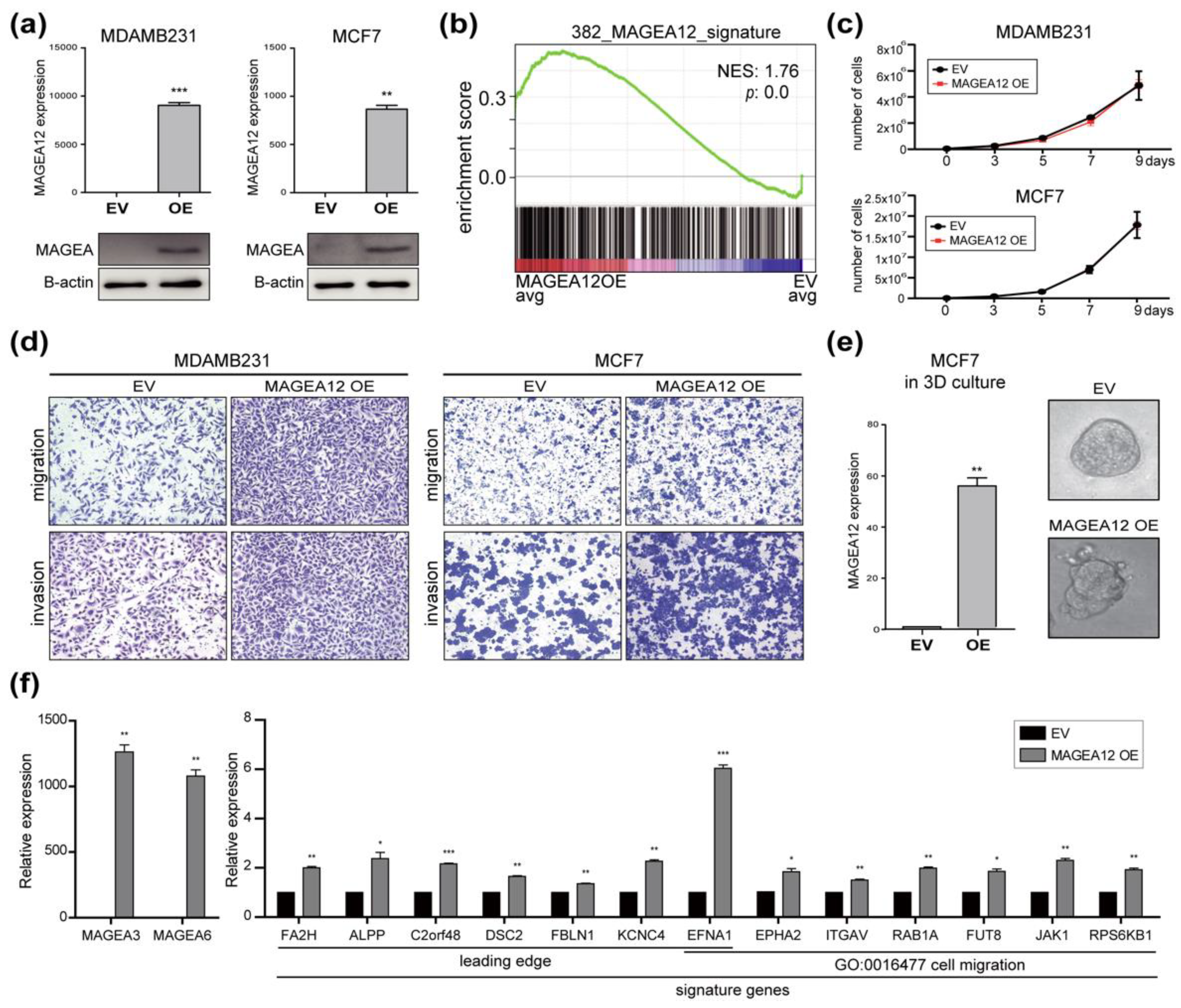Cancers 13 03176 g005 Cancers 13 03176 g005