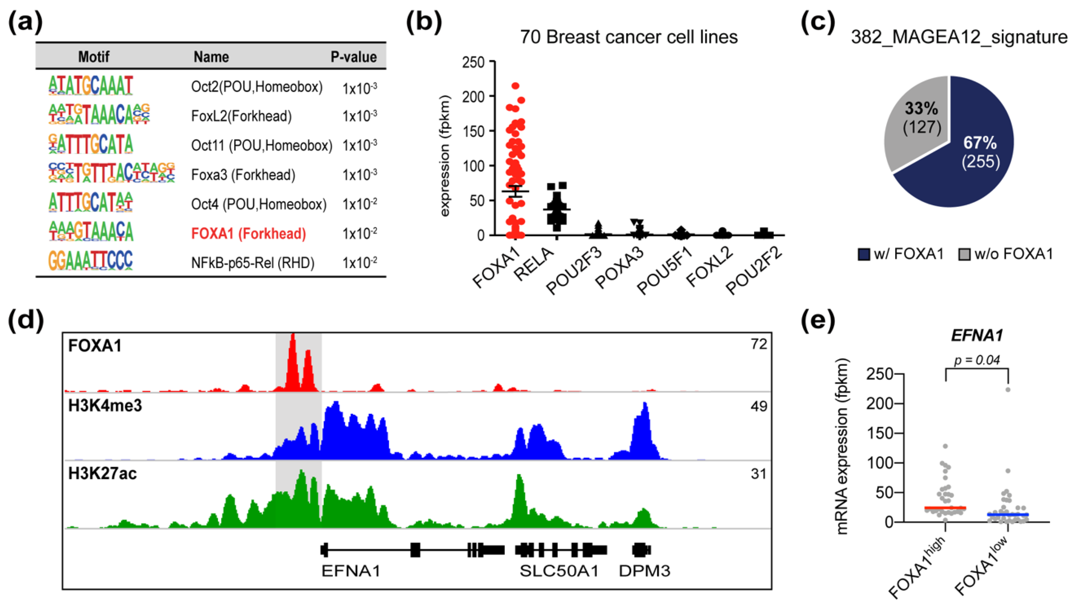 Cancers 13 03176 g006 Cancers 13 03176 g006